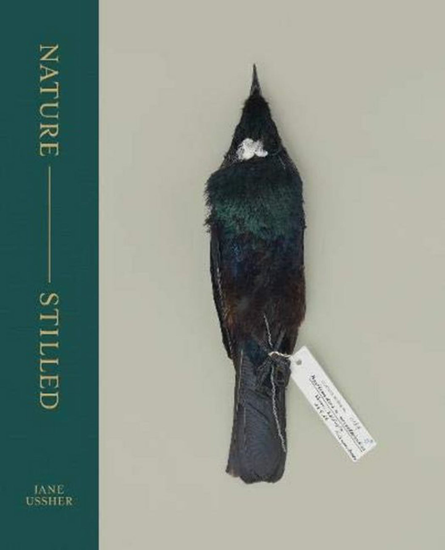 Nature -- Stilled Cover Image