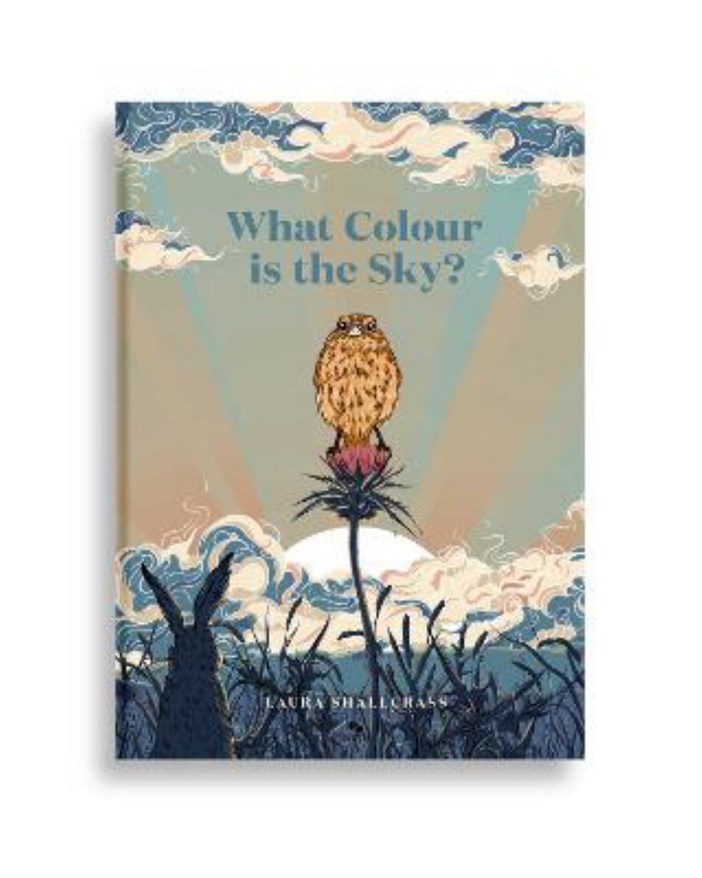 What Colour Is the Sky Cover Image
