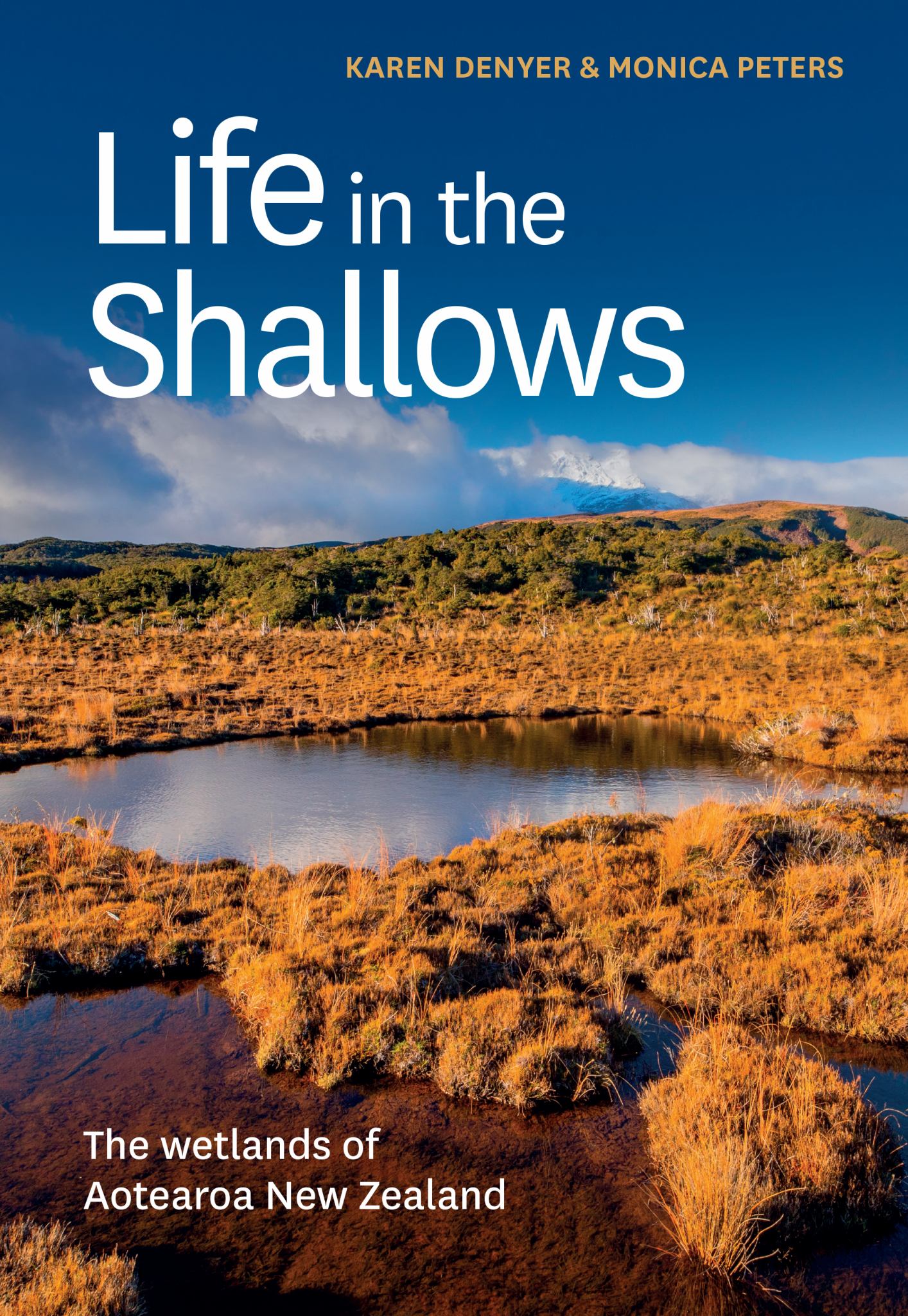 Life in the Shallows Cover Image