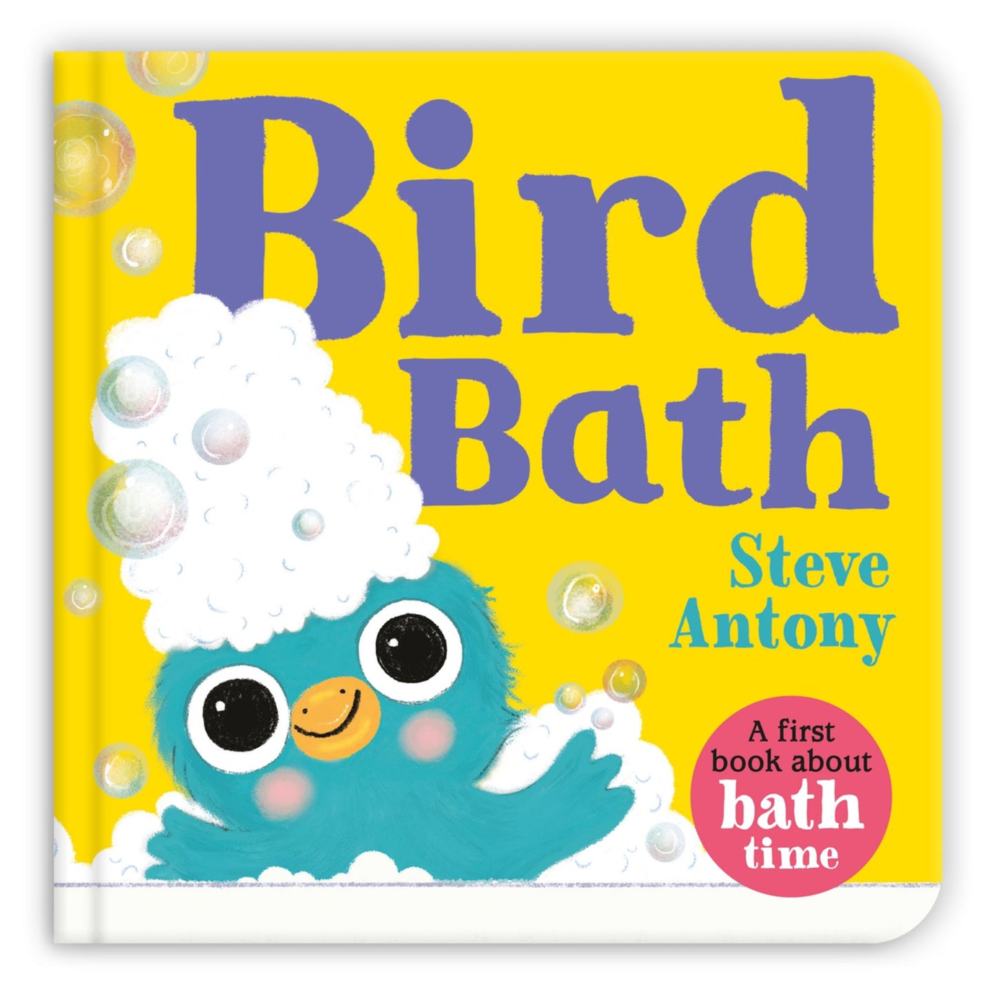 Bird Bath Cover Image