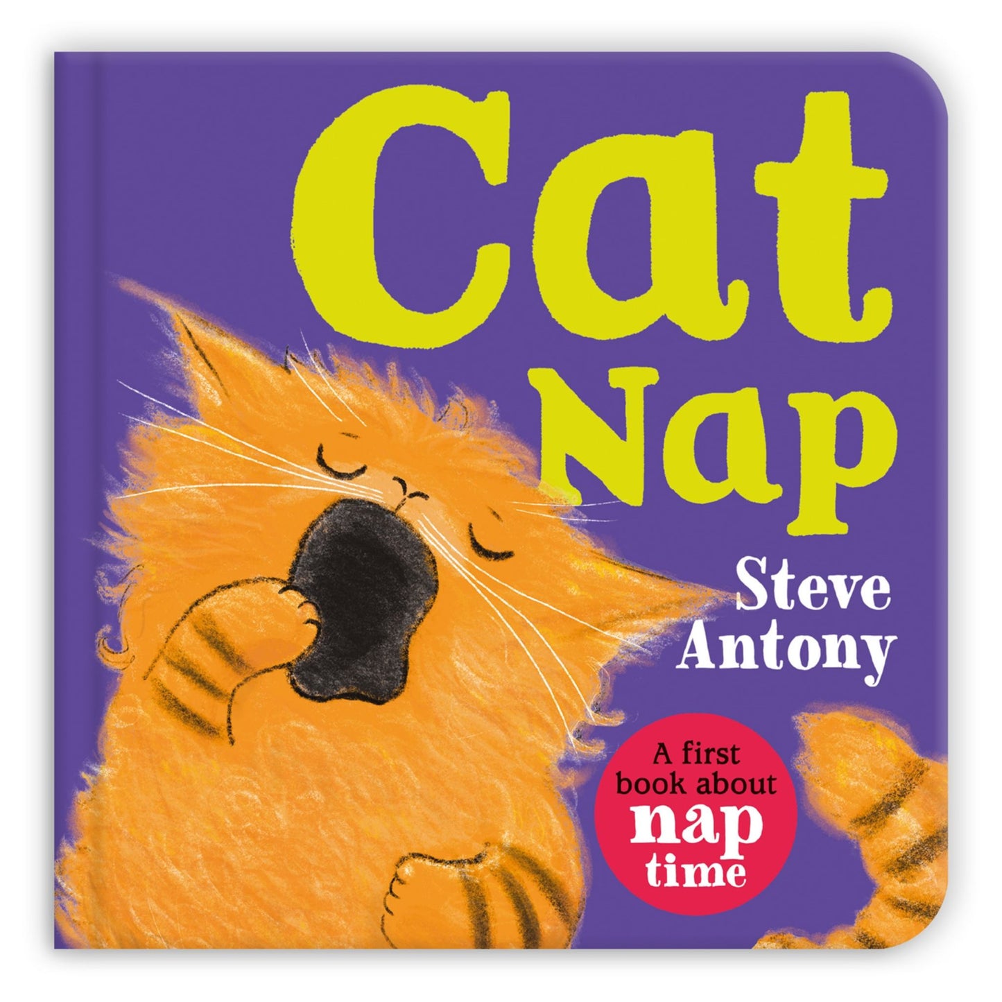 Cat Nap Cover Image