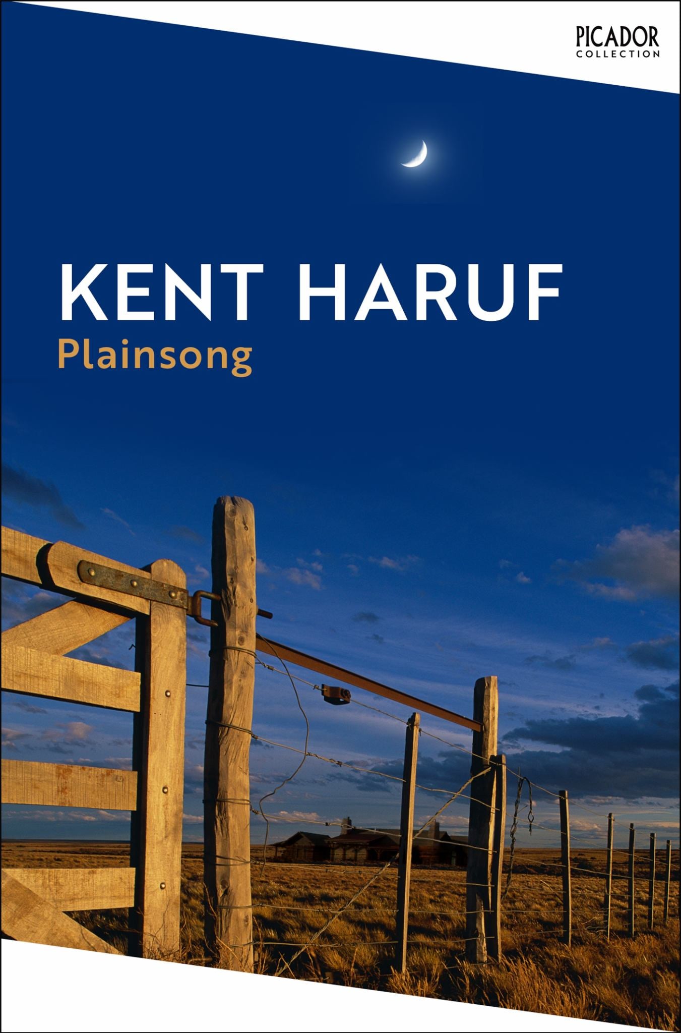Plainsong Cover Image