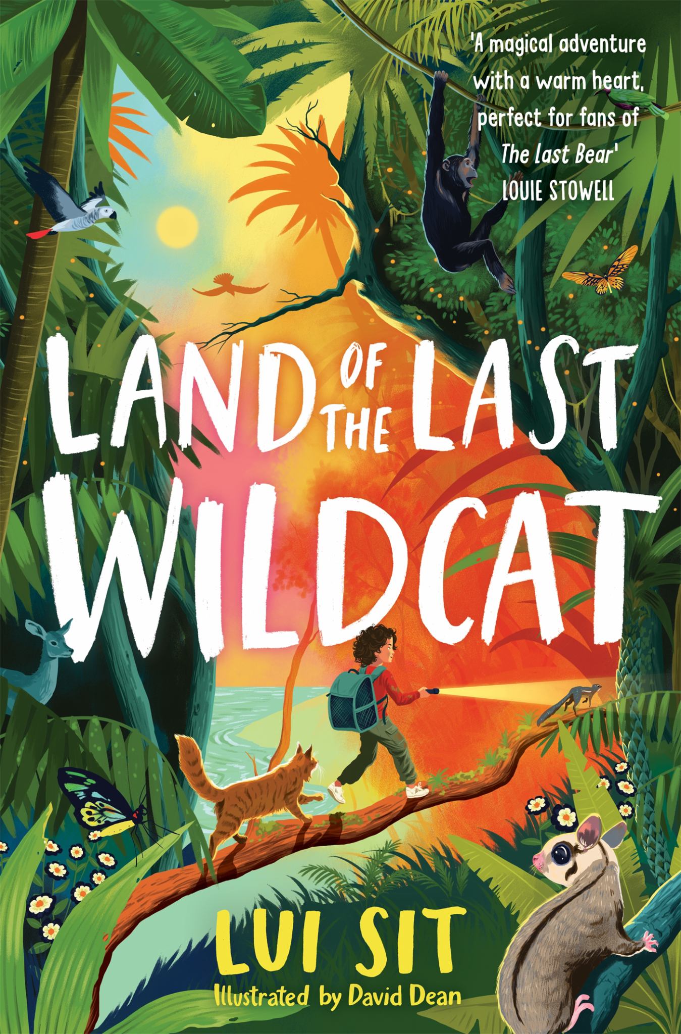 Land of the Last Wildcat Cover Image