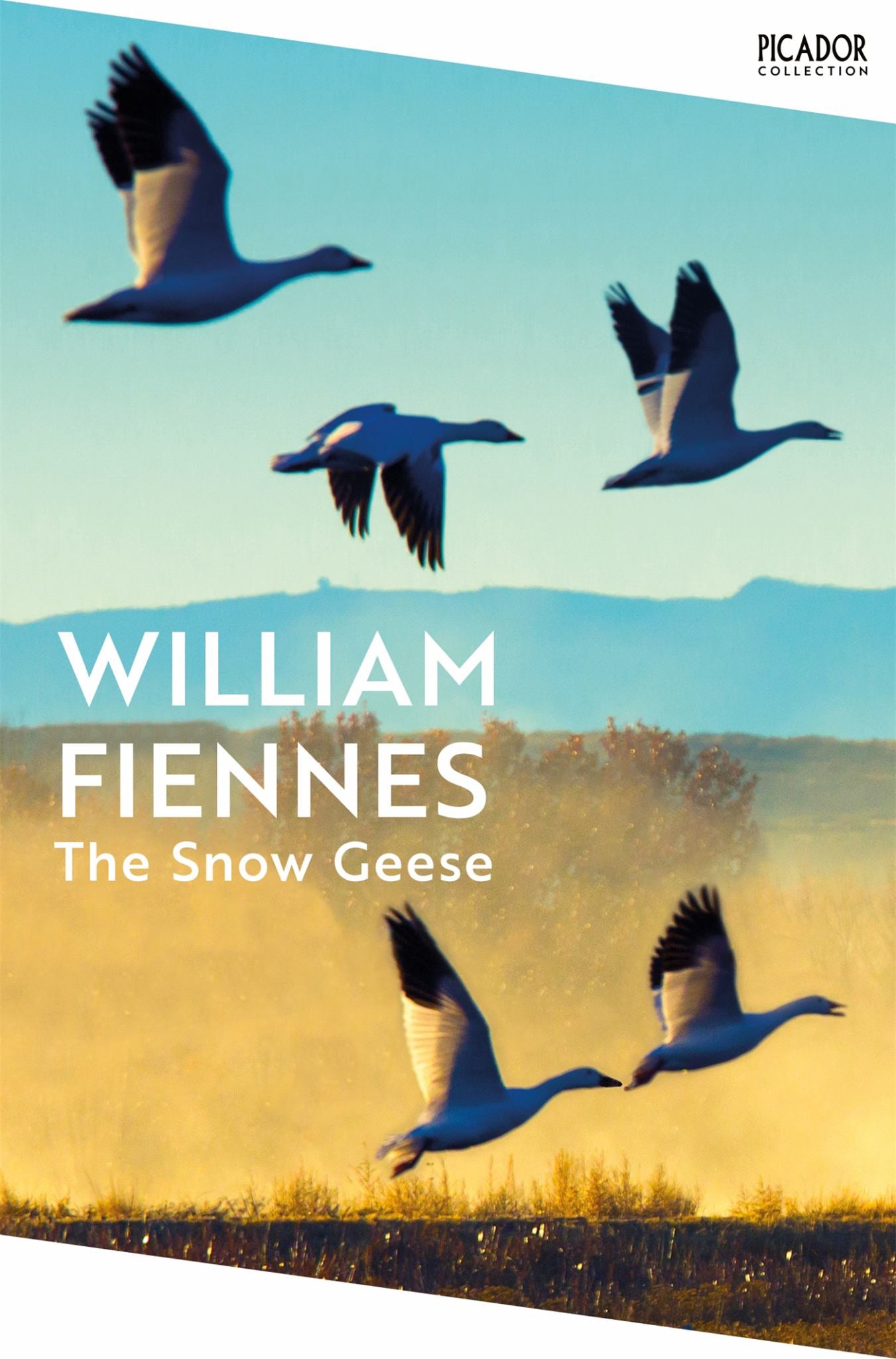The Snow Geese Cover Image