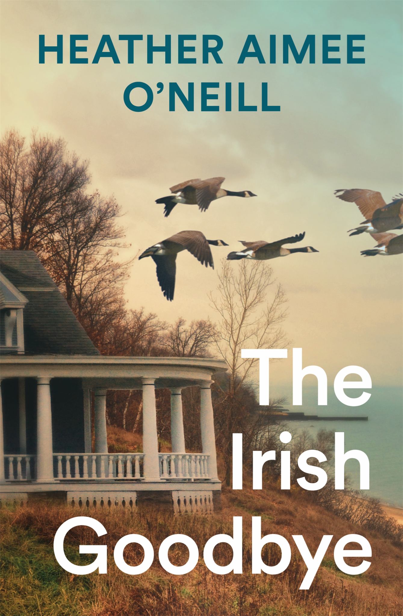 The Irish Goodbye Cover Image