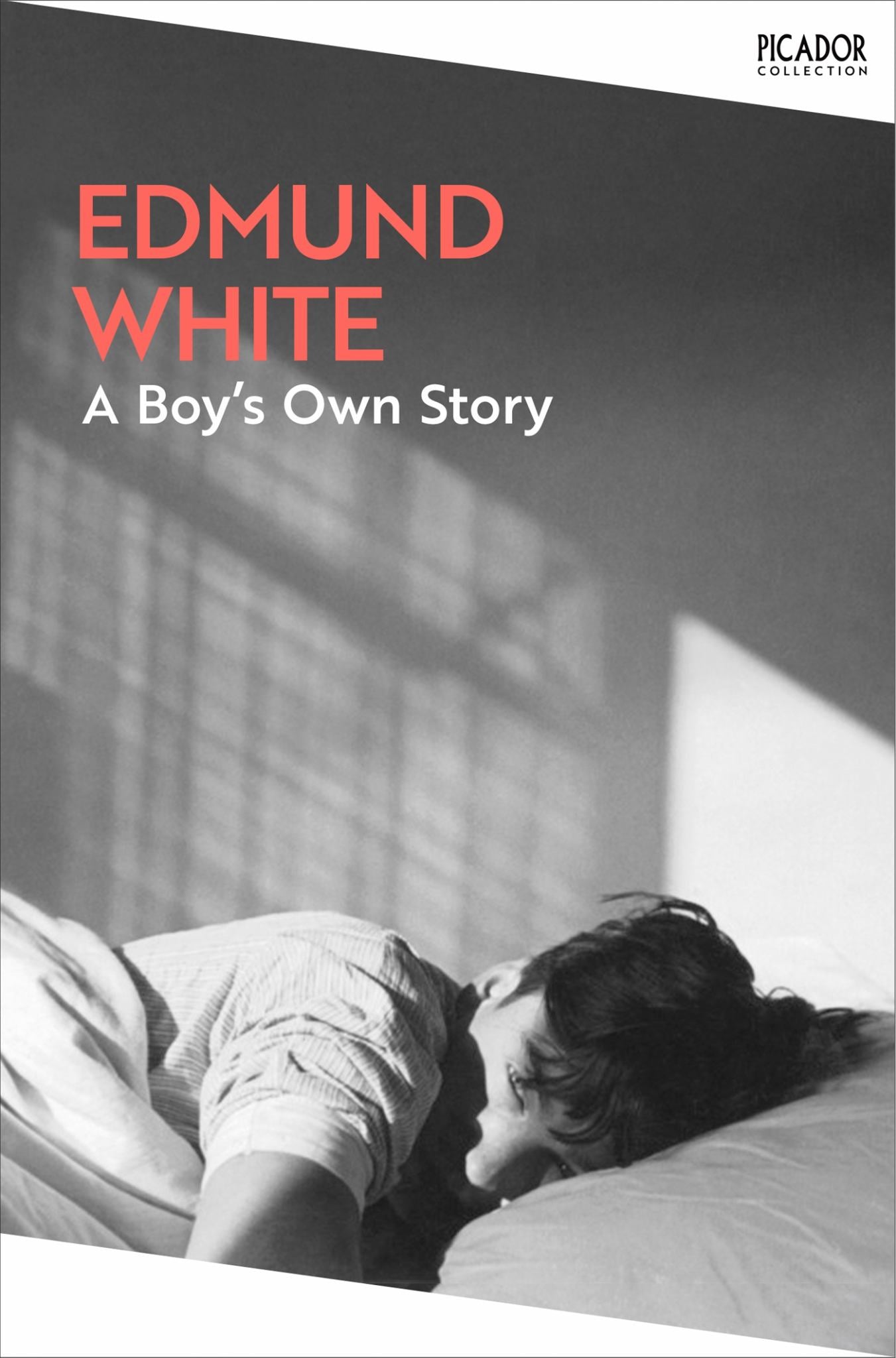 A Boy's Own Story Cover Image