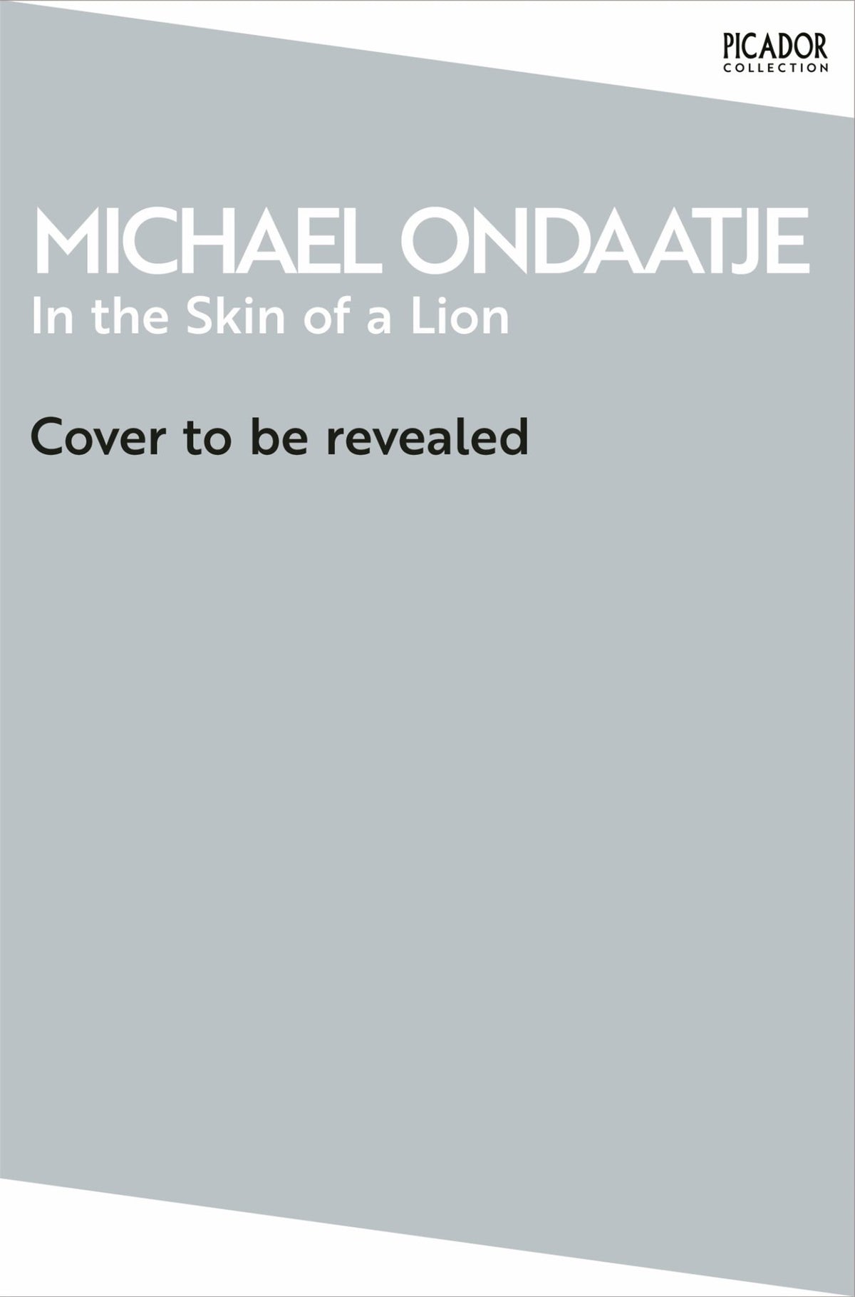 In the Skin of a Lion Cover Image