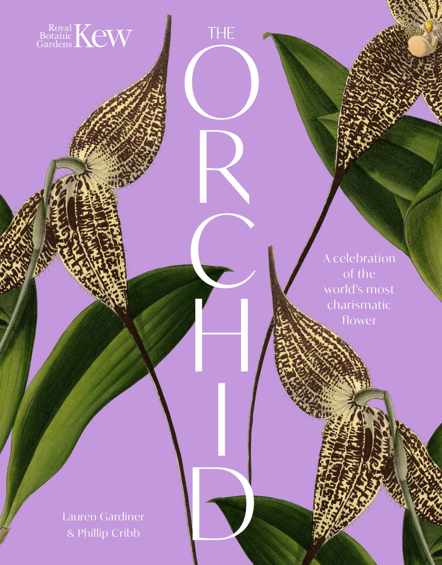 The Orchid Cover Image