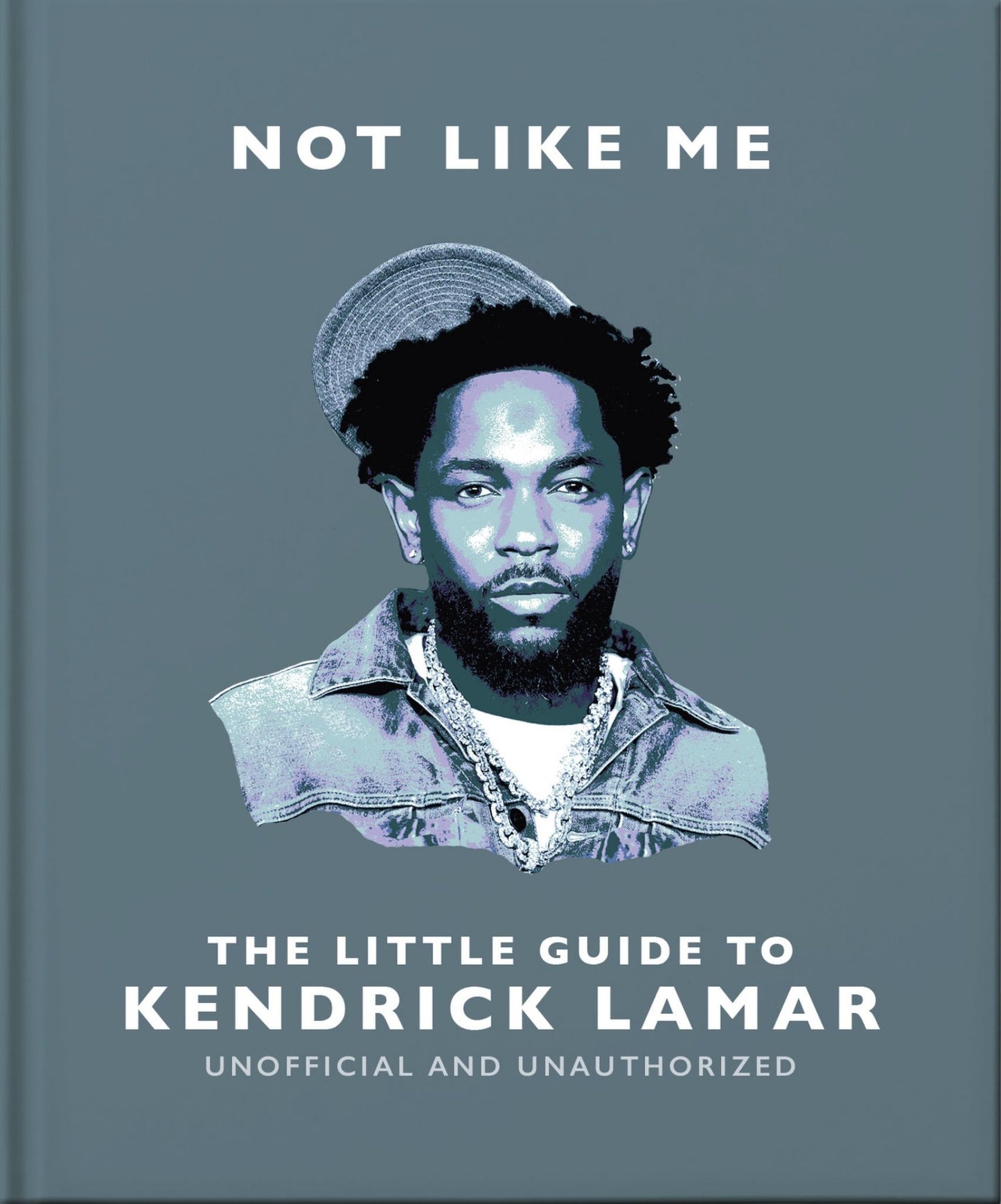 Not Like Me: the Little Guide to Kendrick Lamar Cover Image