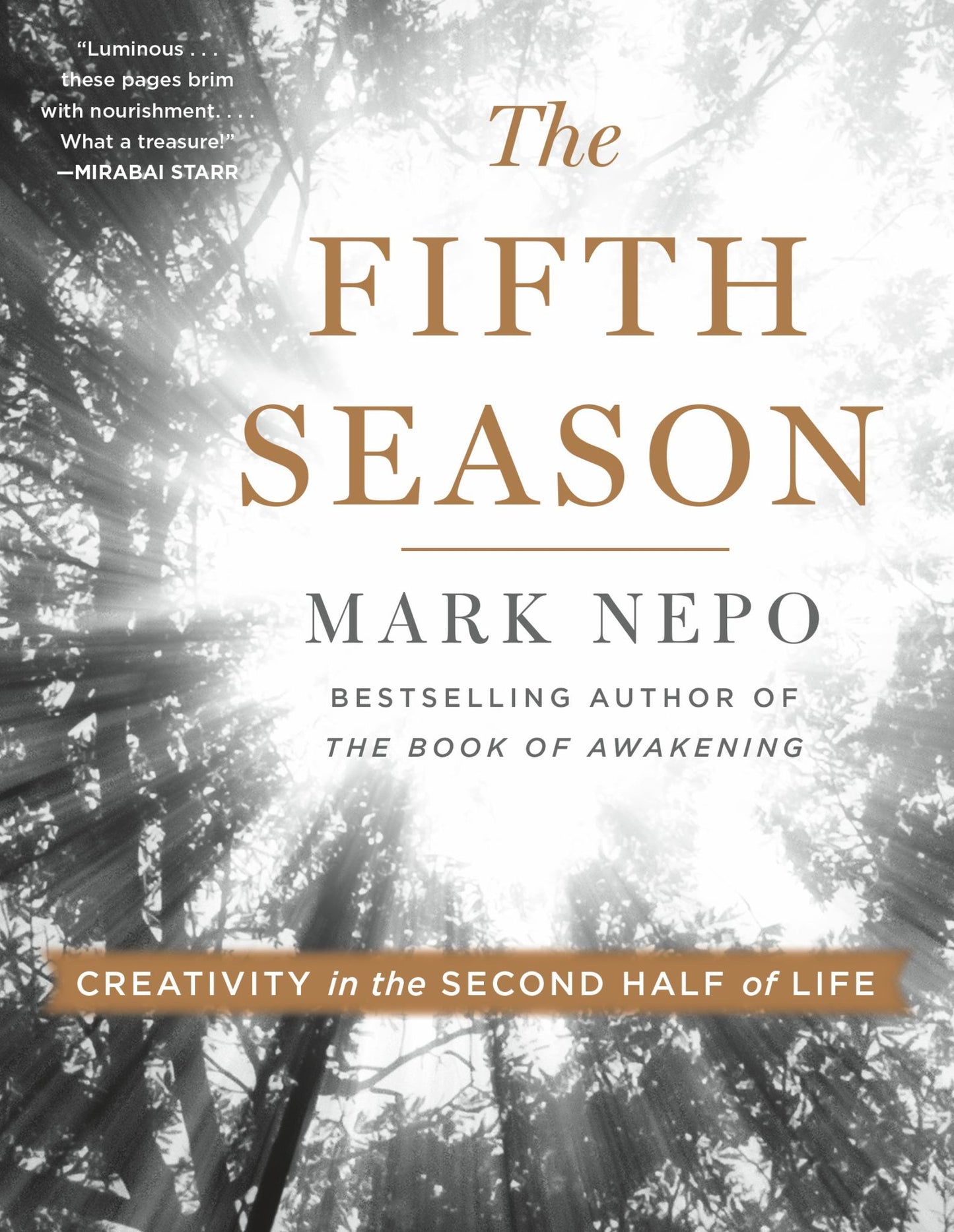 The Fifth Season Cover Image