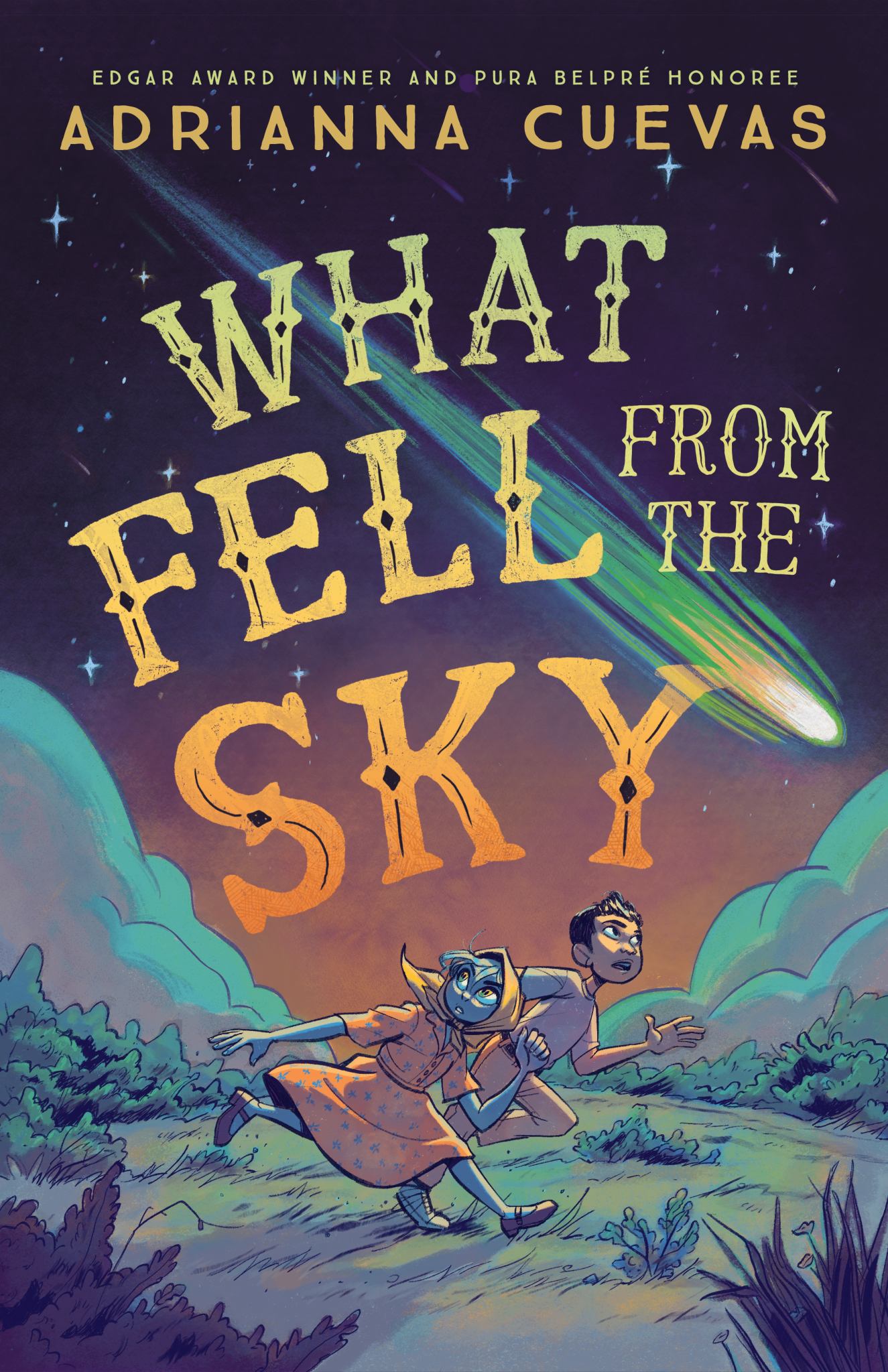 What Fell from the Sky Cover Image