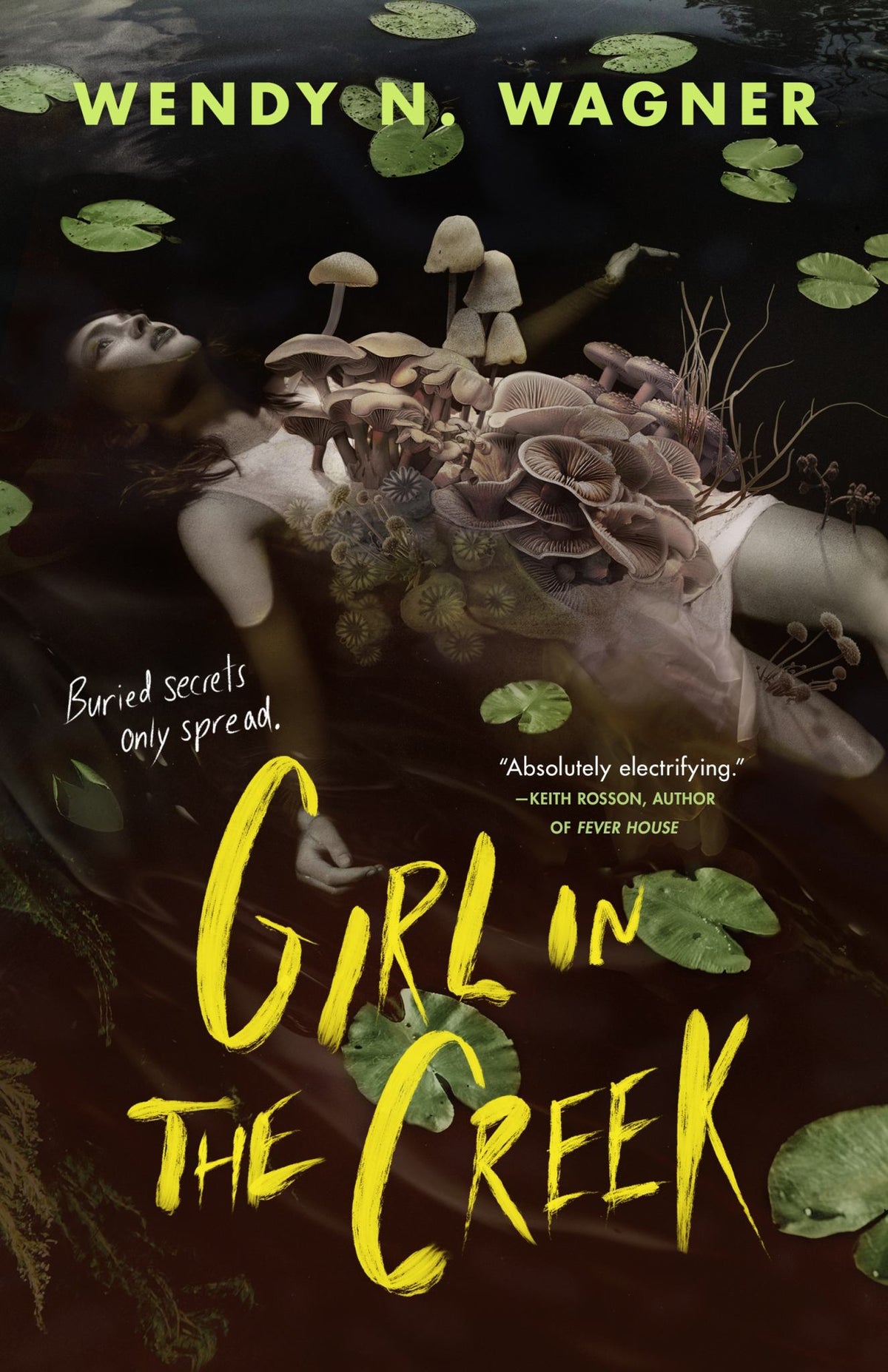 Girl in the Creek Cover Image