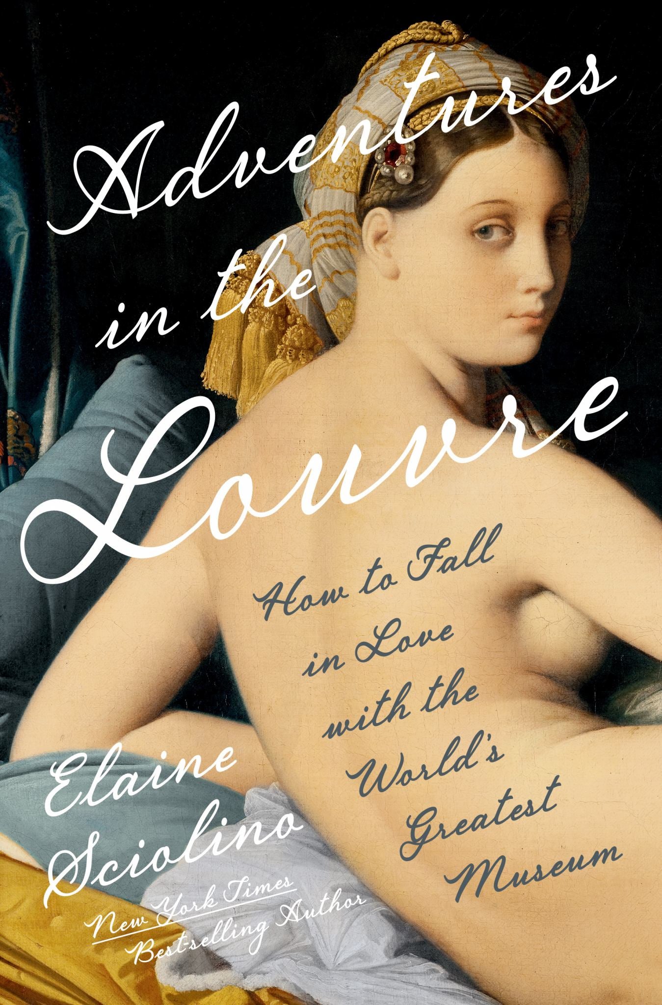 Adventures in the Louvre Cover Image