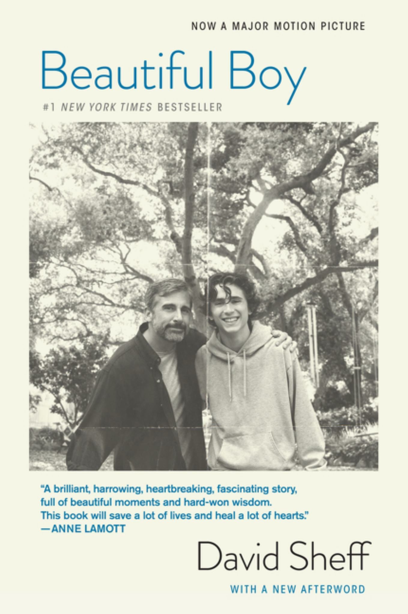 Beautiful Boy (tie-In) Cover Image