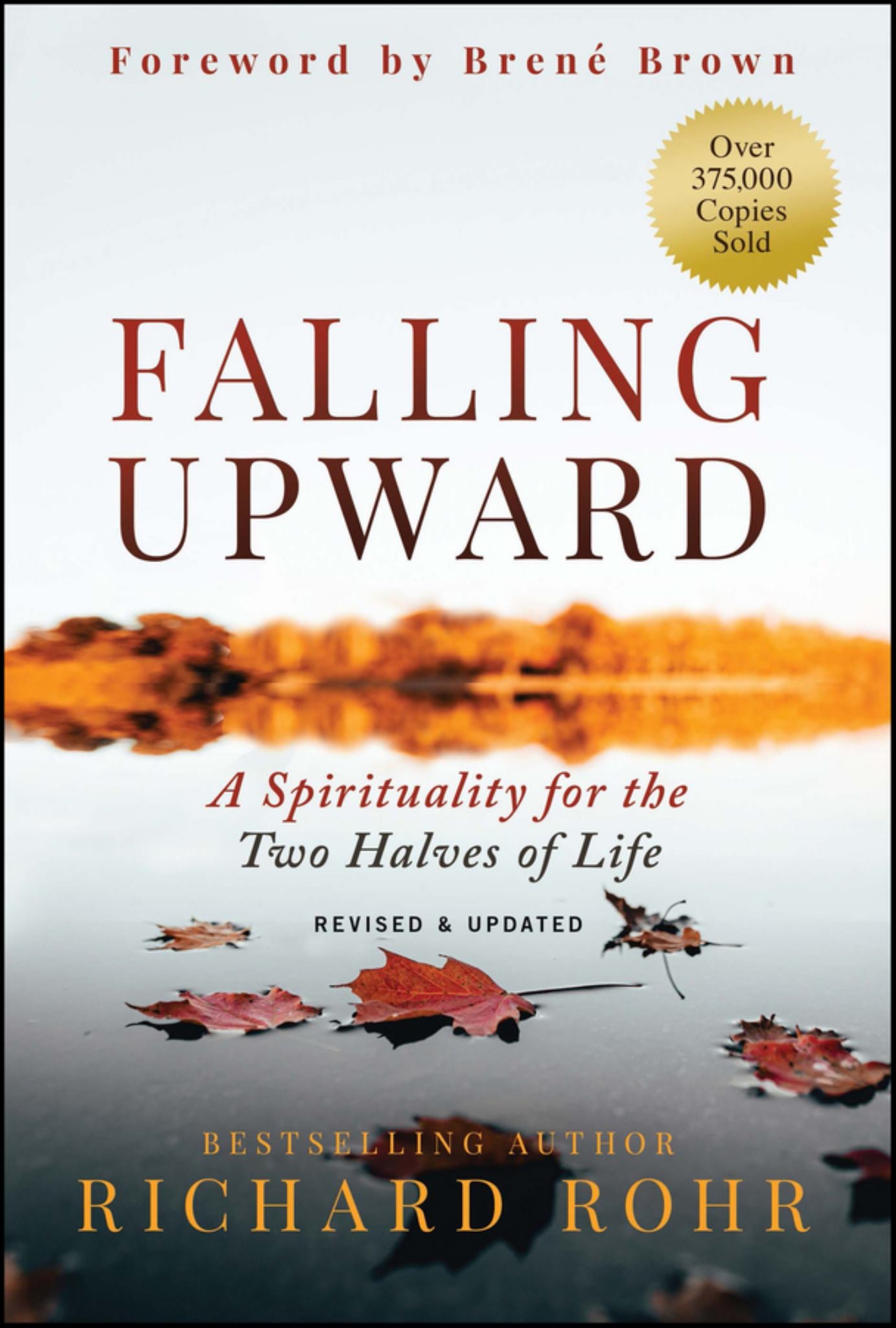 Falling Upward, Revised and Updated Cover Image