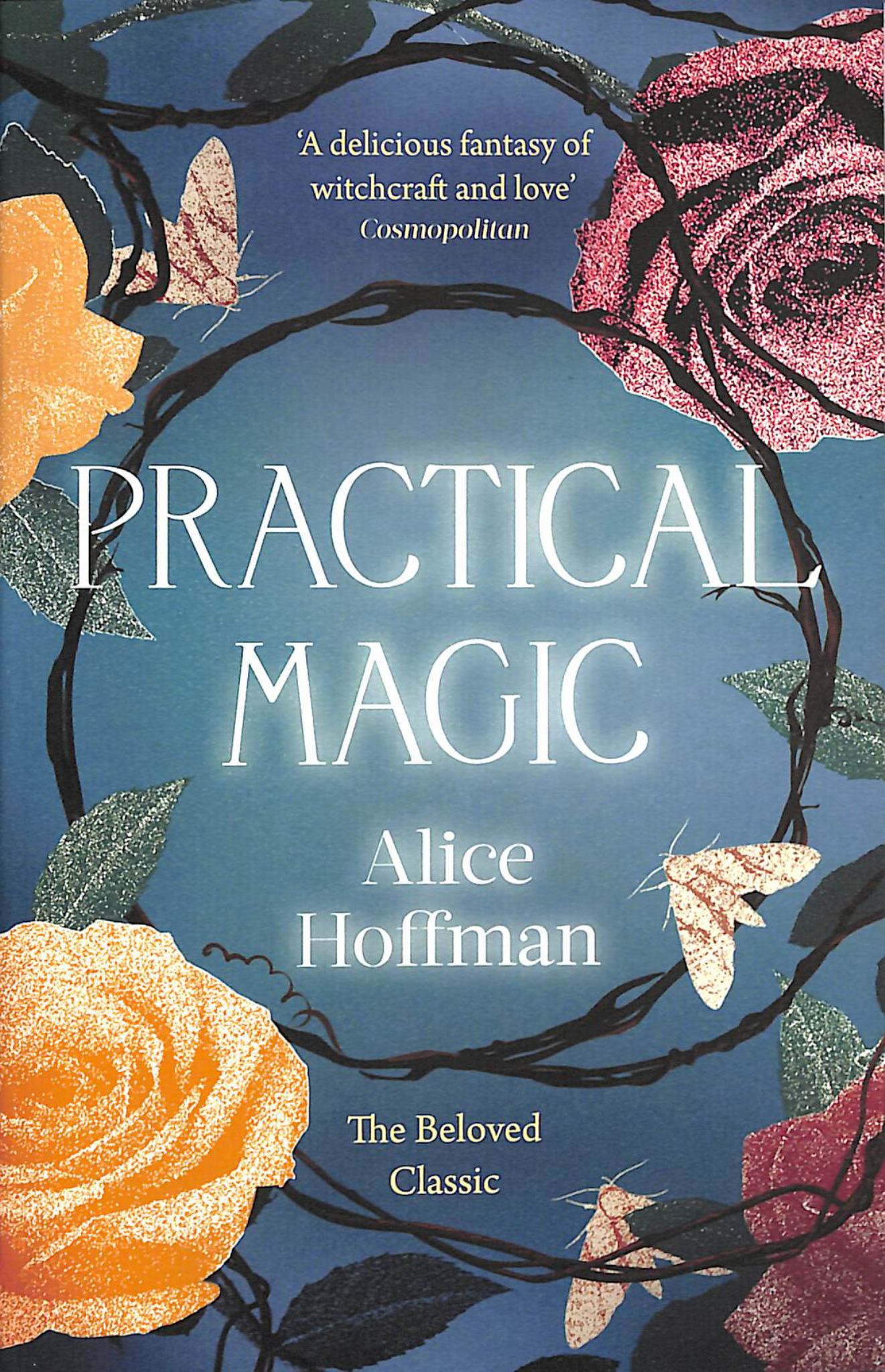 Practical Magic Cover Image
