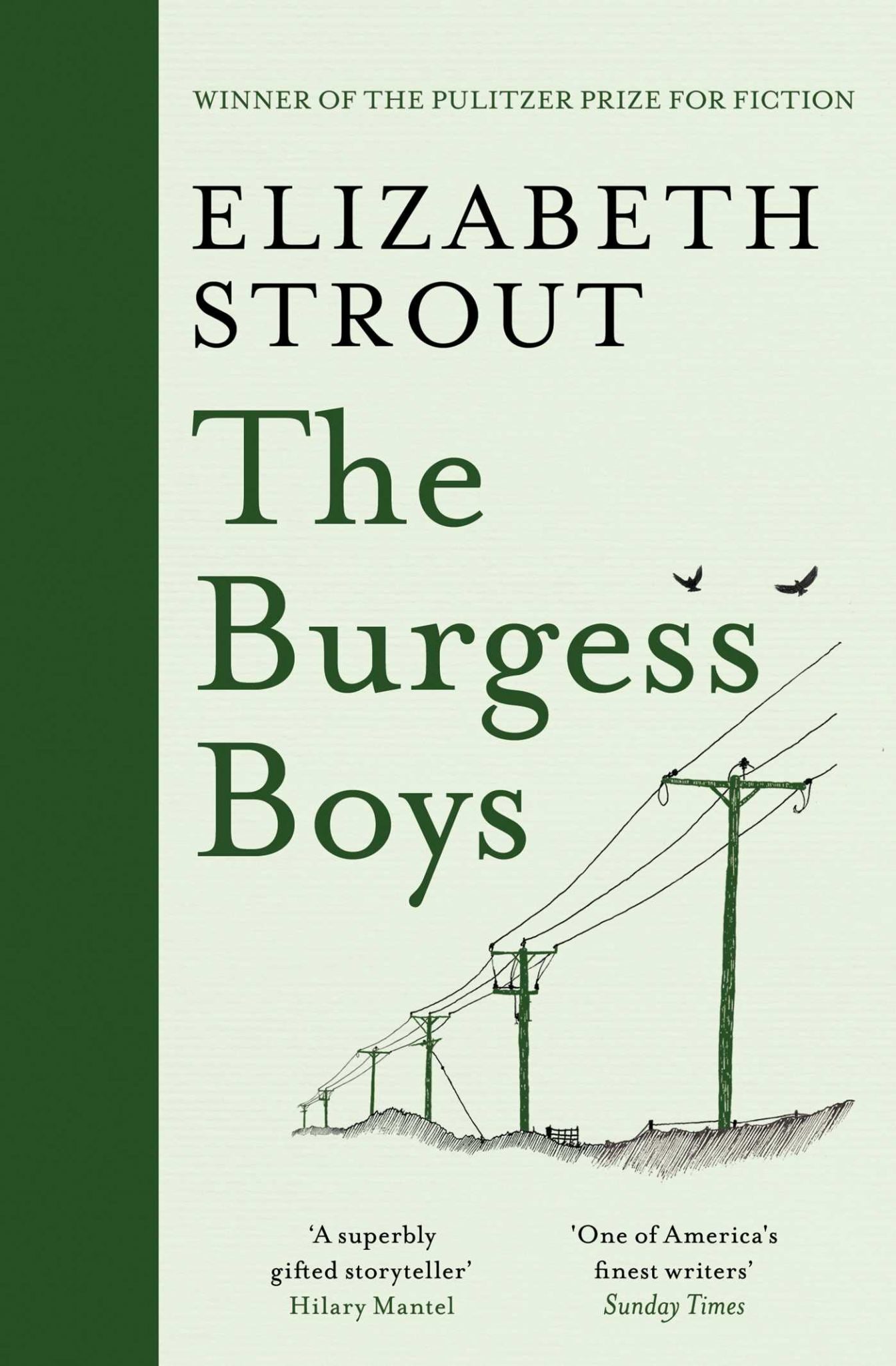 The Burgess Boys Cover Image