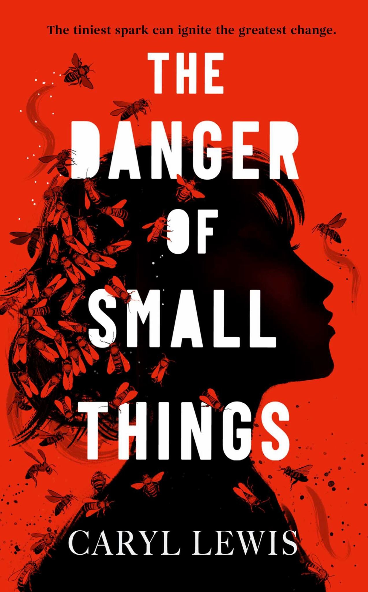 The Danger of Small Things Cover Image