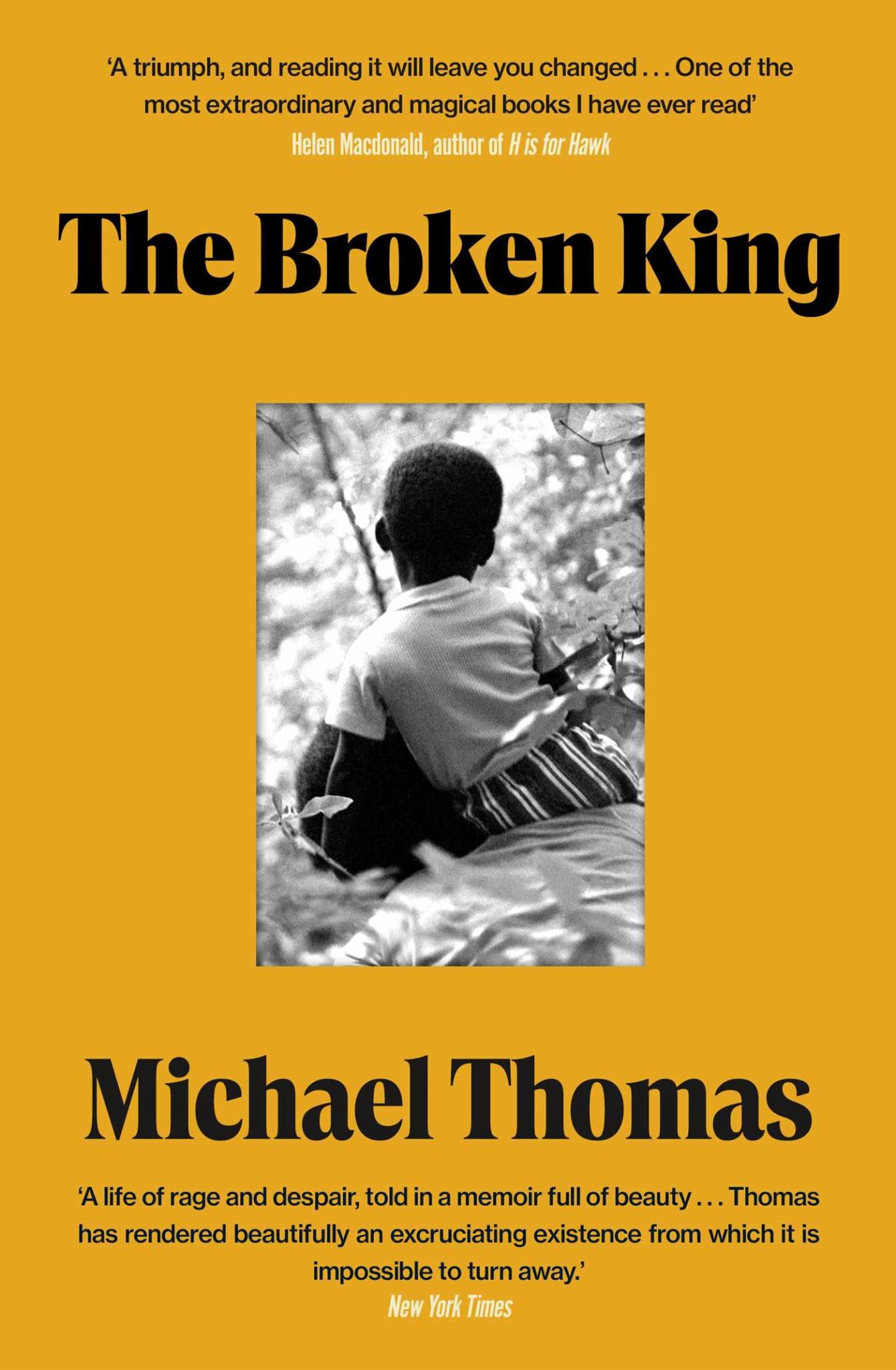 The Broken King Cover Image