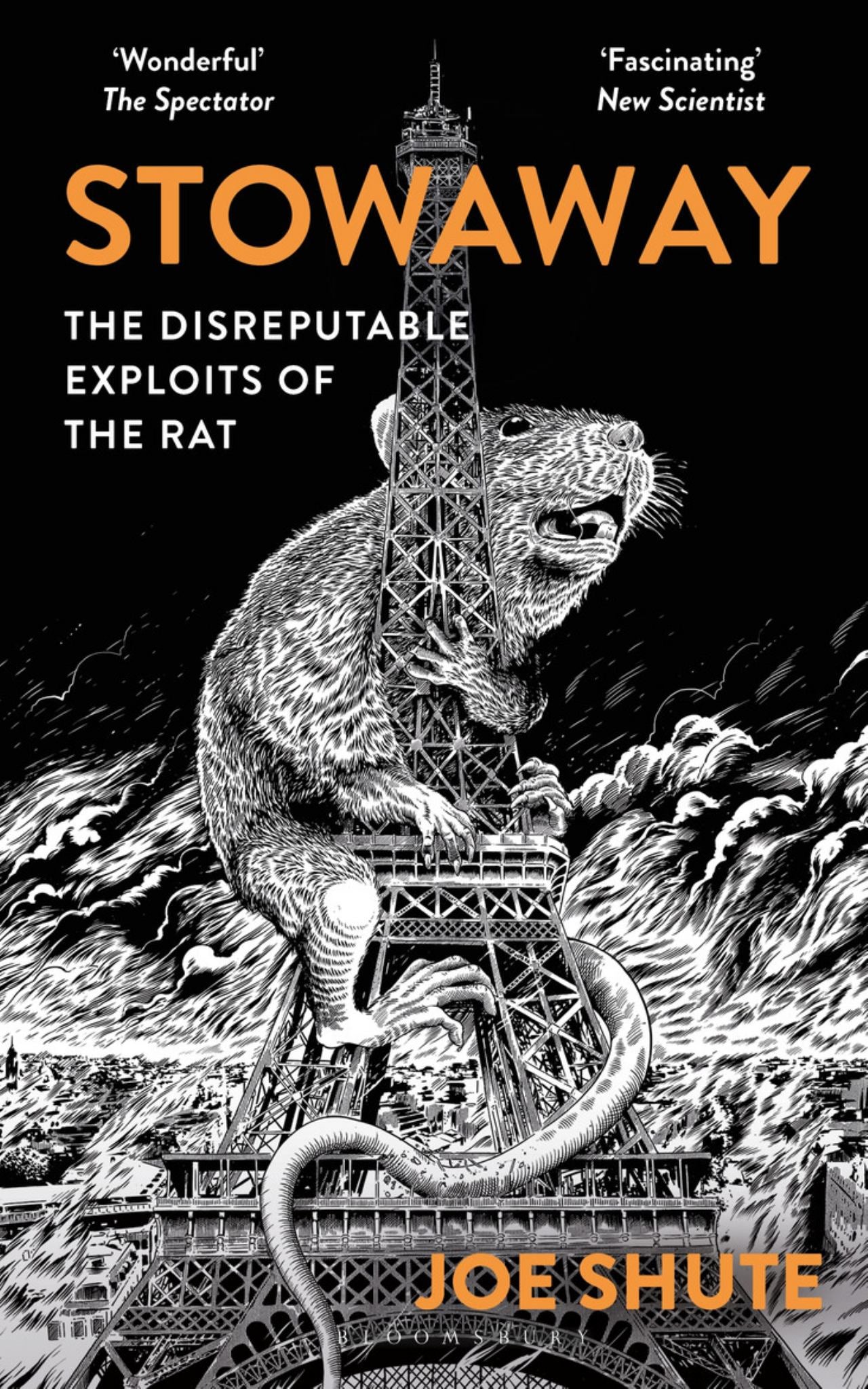 Stowaway Cover Image