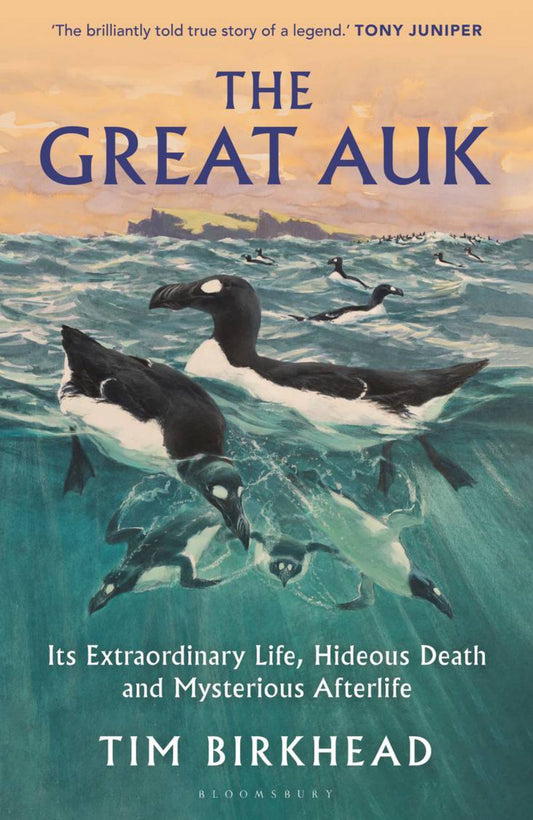 The Great Auk Cover Image