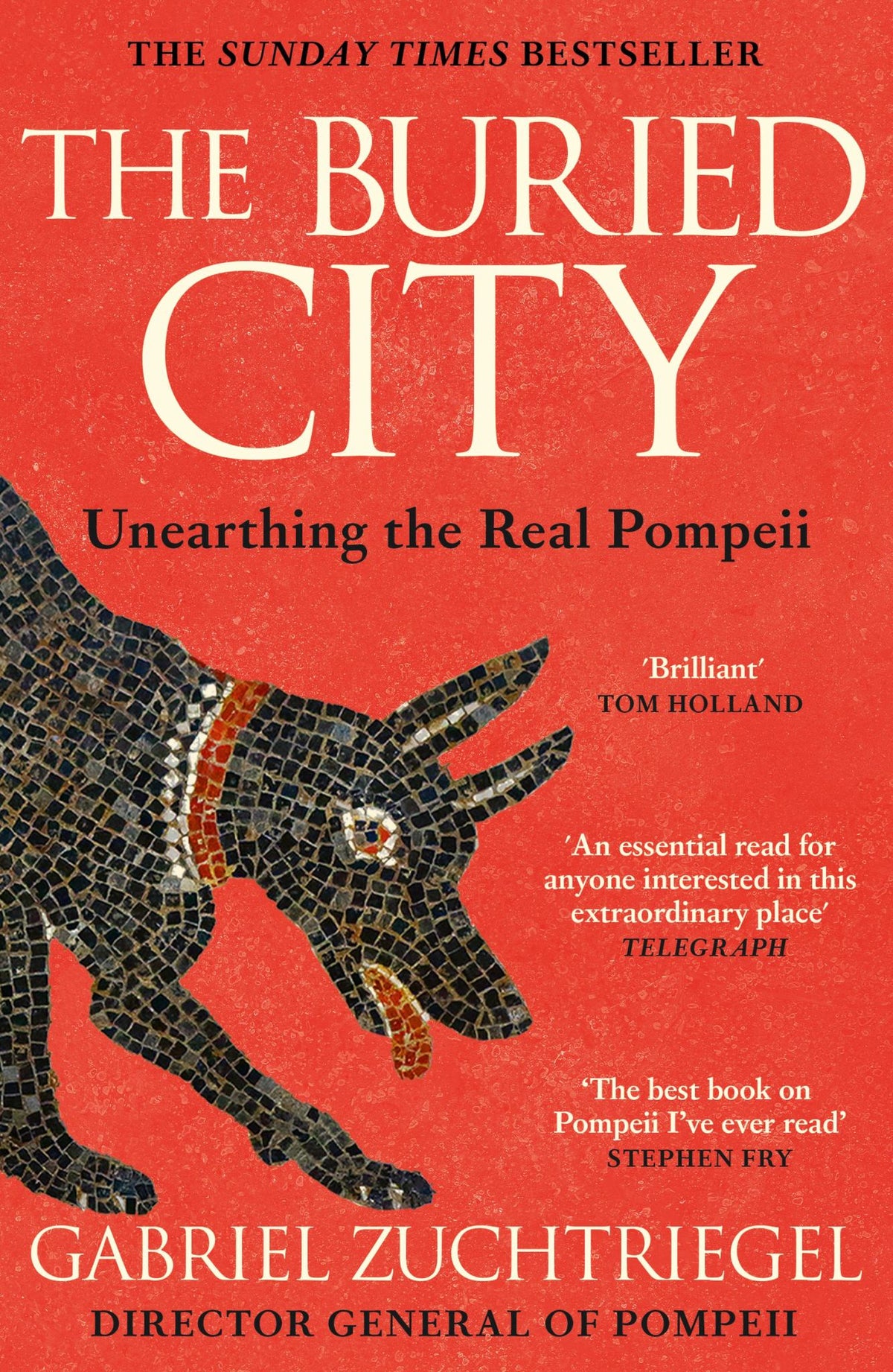 The Buried City Cover Image