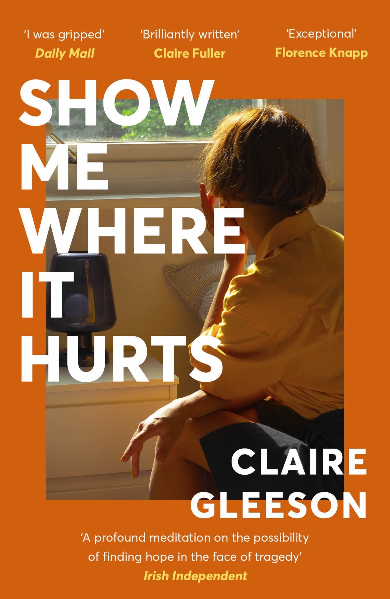 Show Me Where It Hurts Cover Image