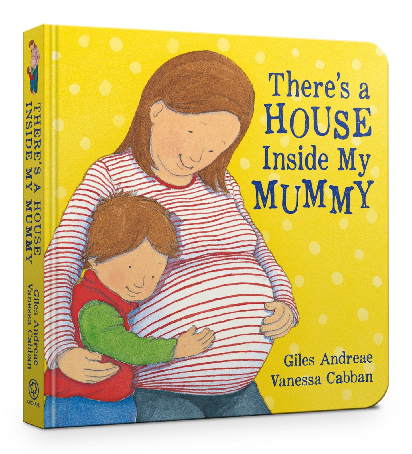 There's a House Inside My Mummy Cover Image