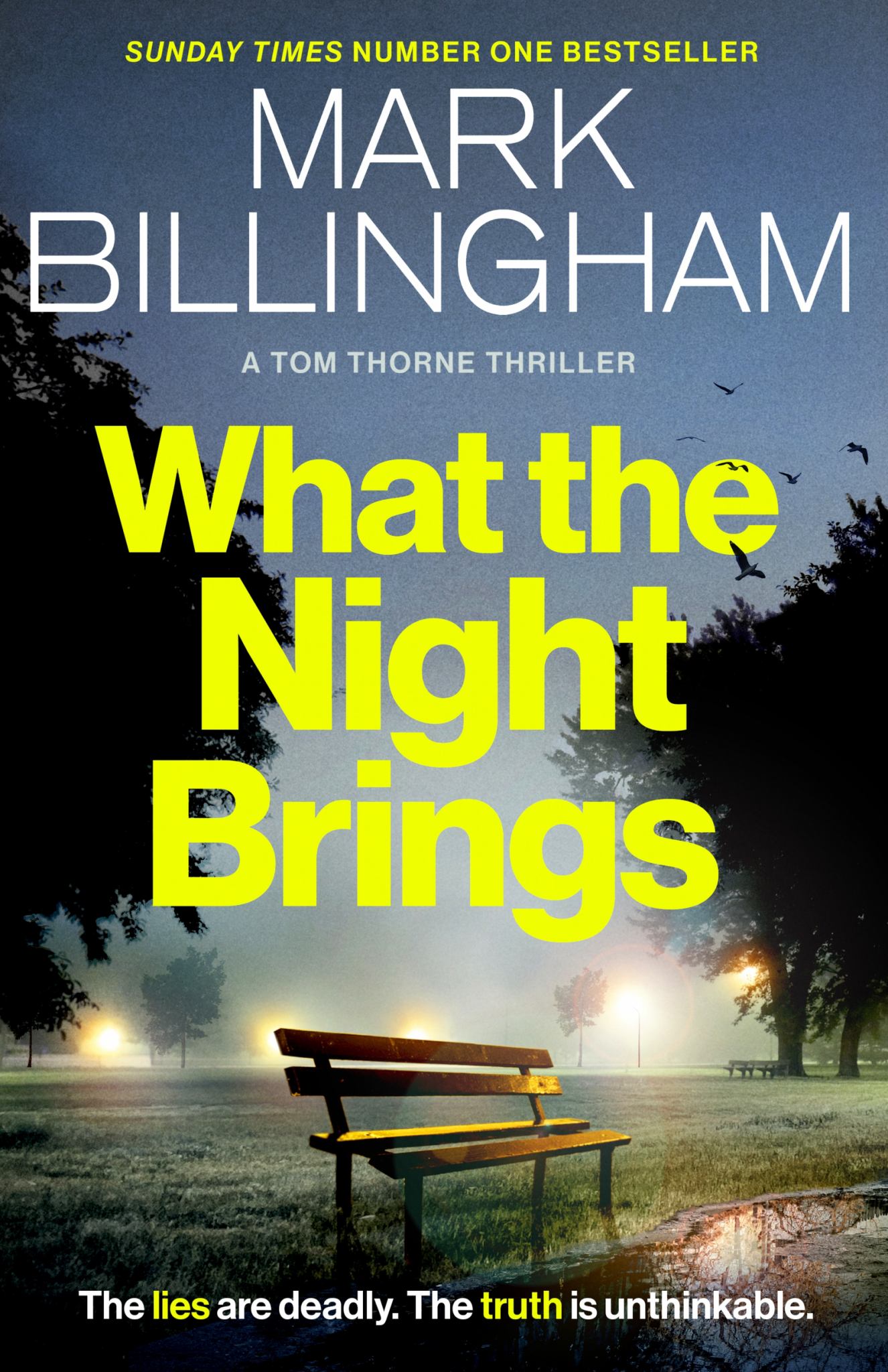 What the Night Brings Cover Image