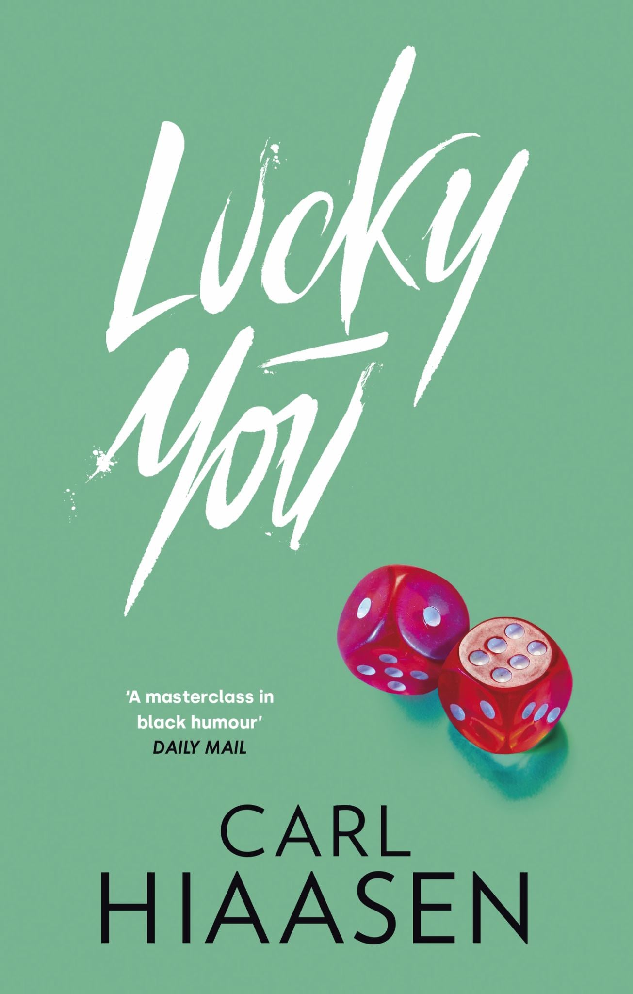 Lucky You Cover Image