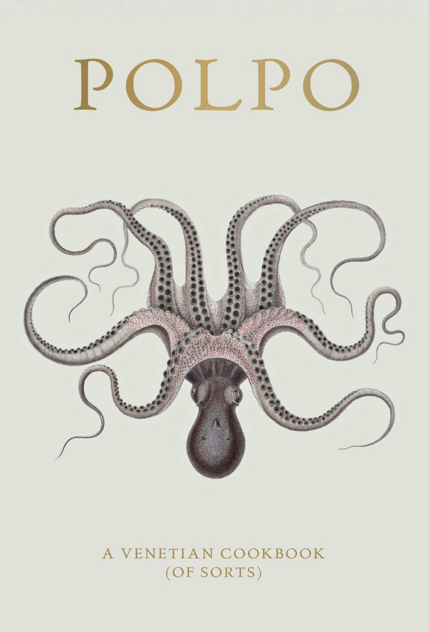 Polpo Cover Image