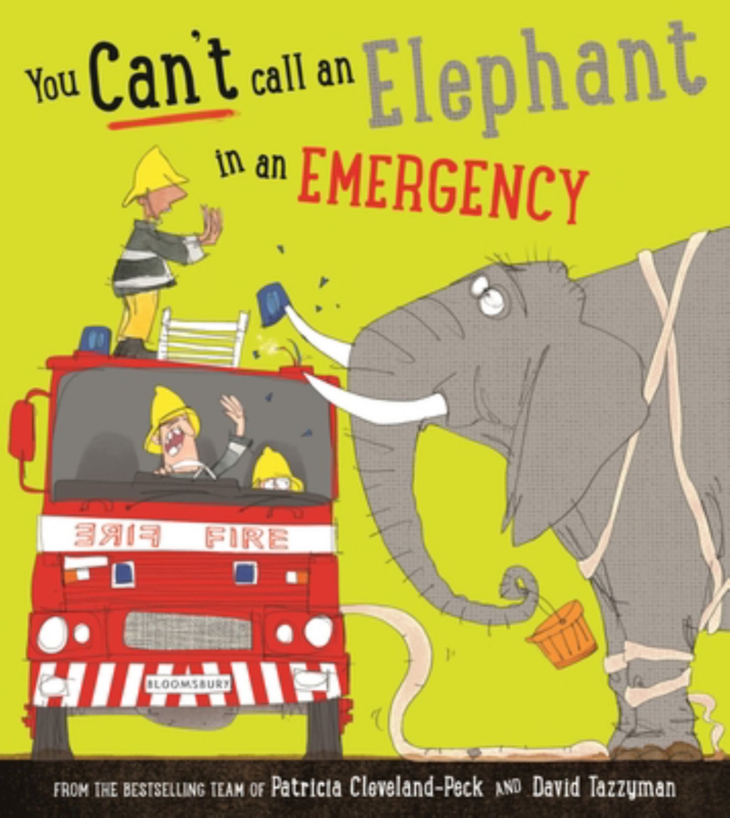 You Can't Call an Elephant in an Emergency Cover Image