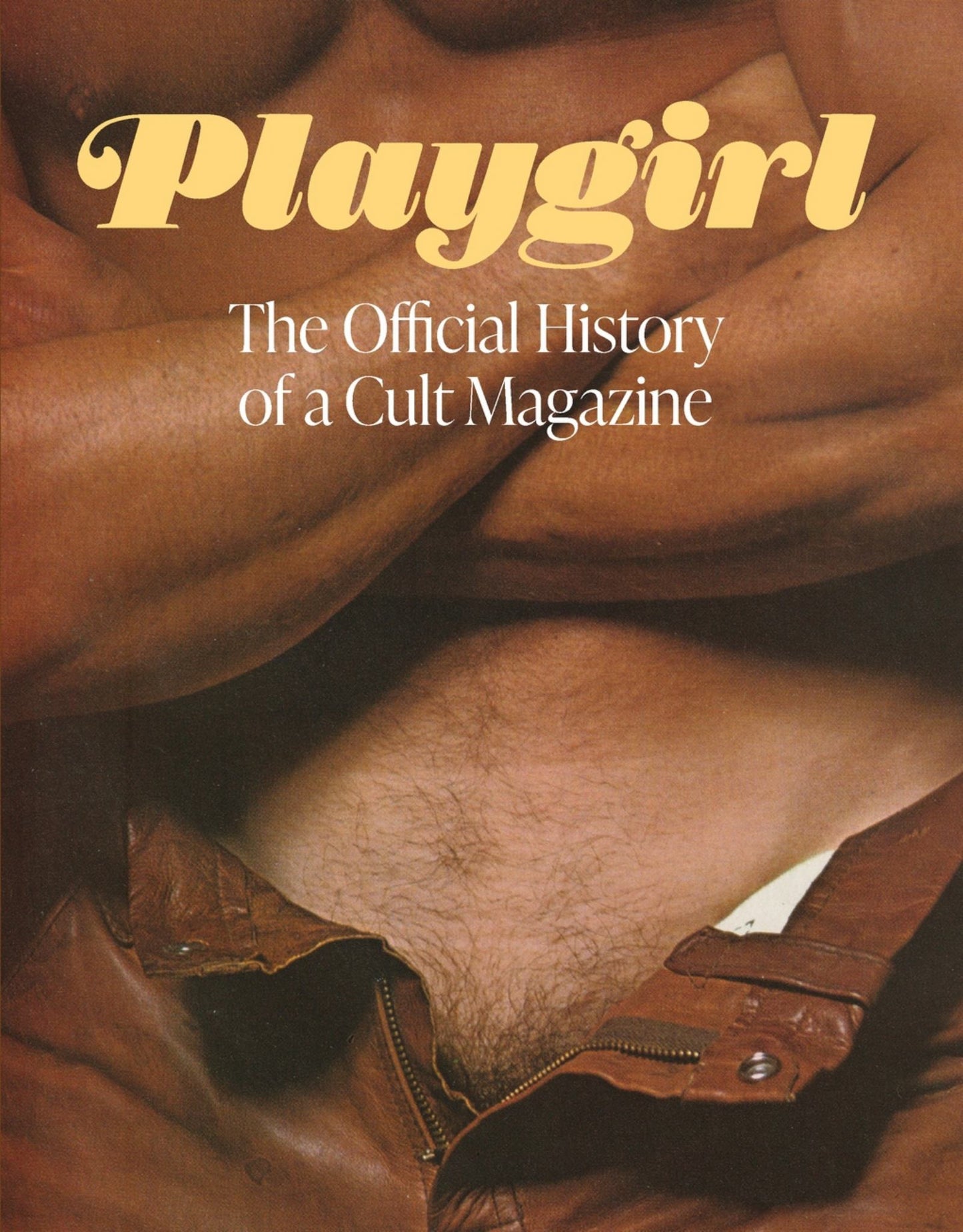 Playgirl: the Official History of a Cult Magazine Cover Image