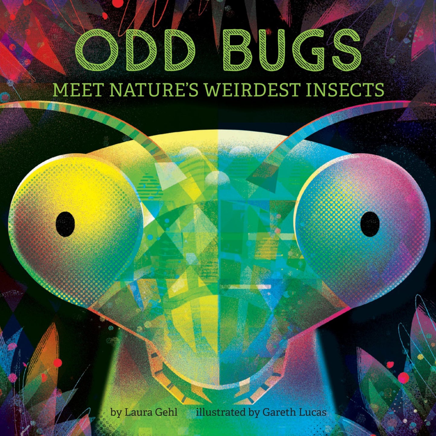 Odd Bugs (a Curious Crittters Board Book) Cover Image