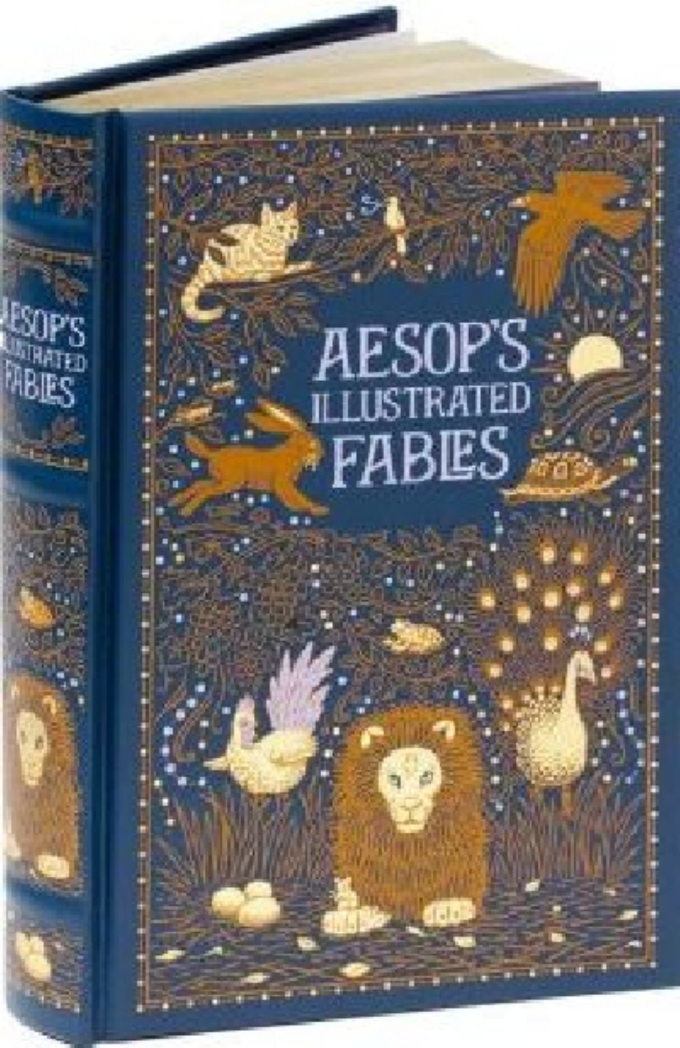 Aesop's Illustrated Fables (Barnes and Noble Collectible Classics: Omnibus Edition) Cover Image