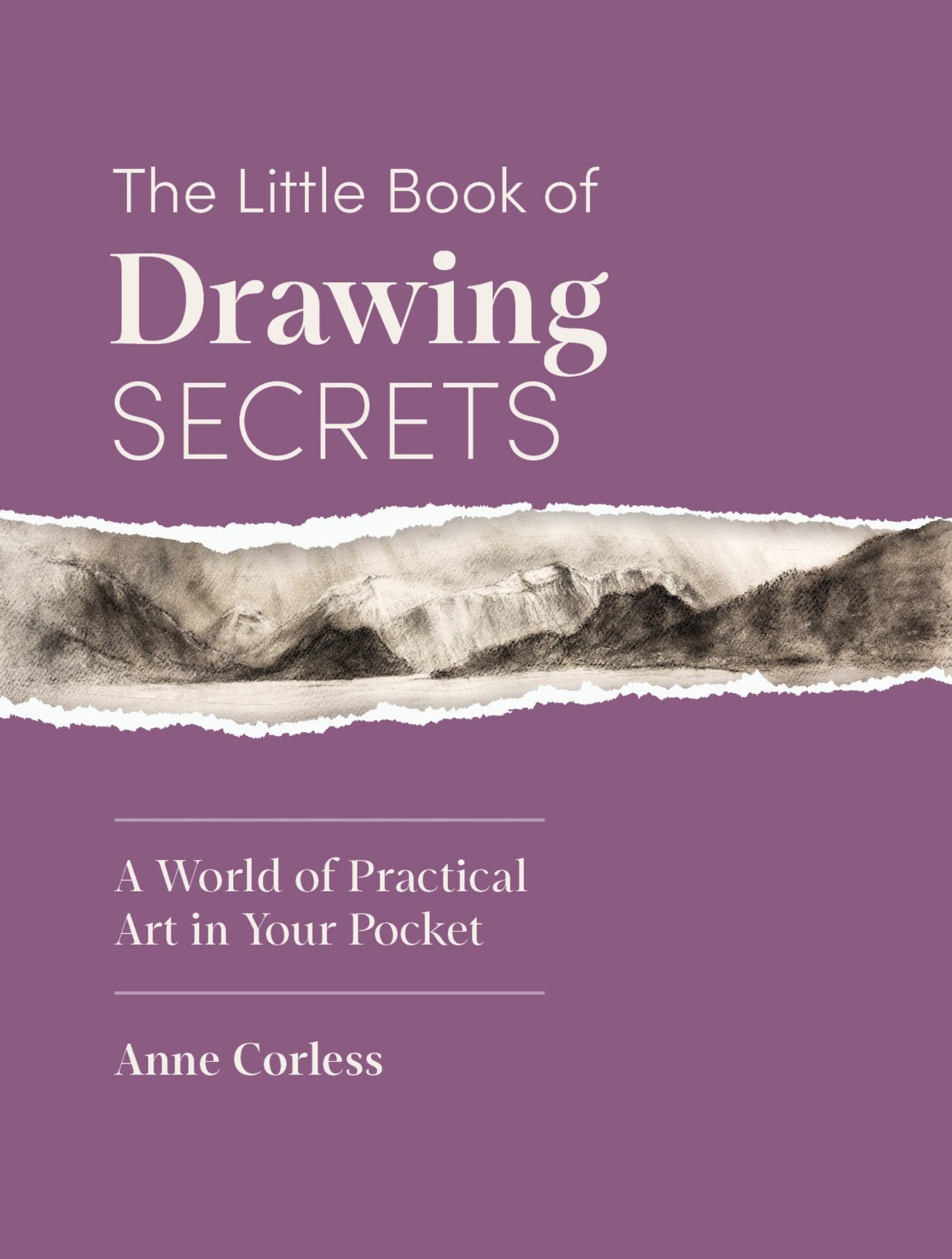 The Little Book of Drawing Secrets Cover Image