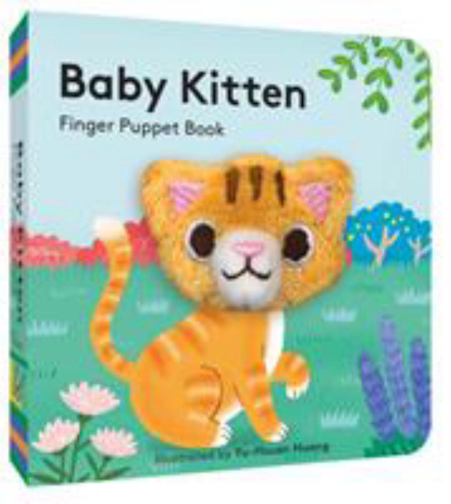 Baby Kitten: Finger Puppet Book Cover Image
