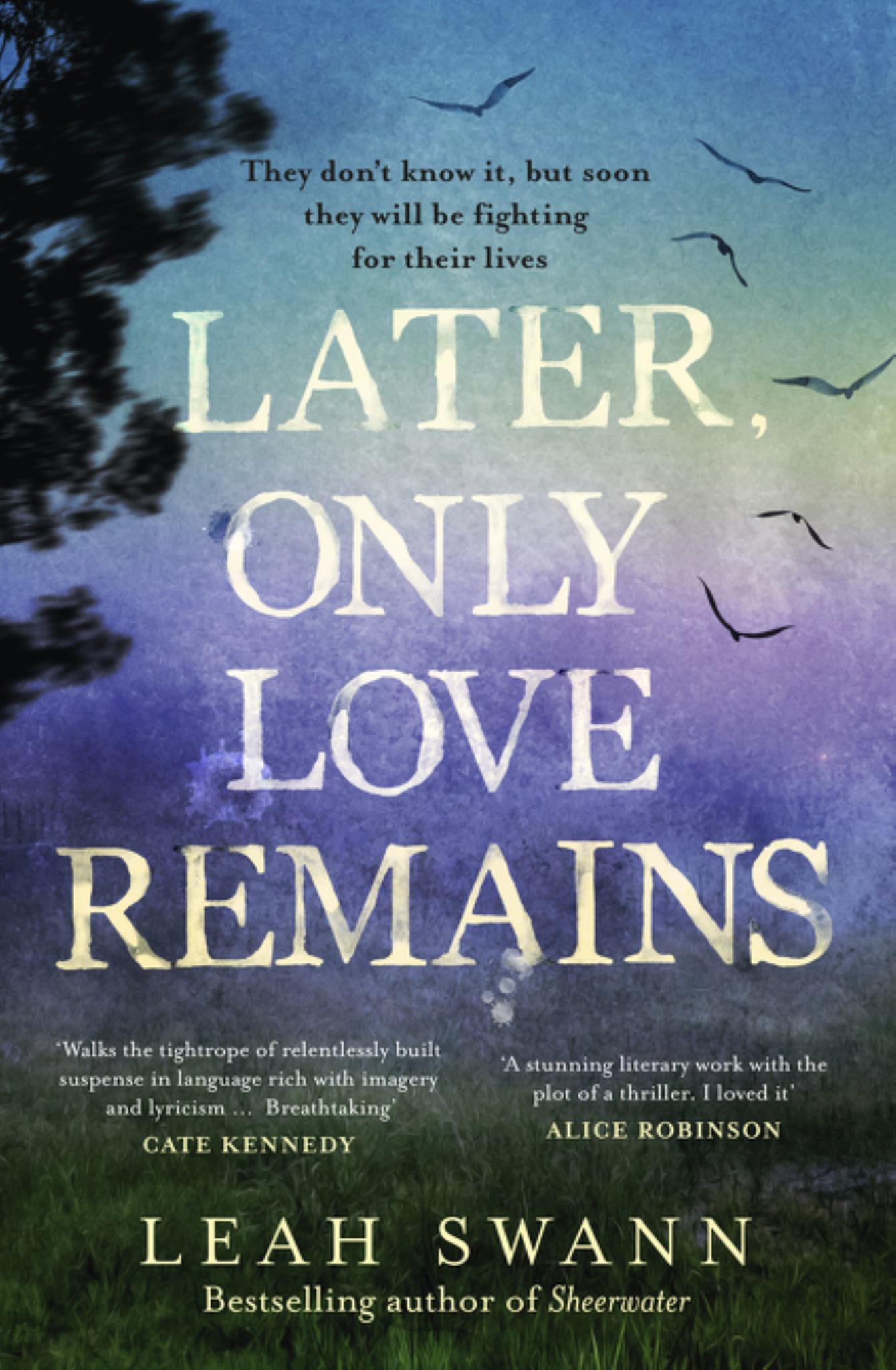 Later, Only Love Remains: a Darkly Beautiful Suspense Novel from the Award-Winning Bestselling Author of Sheerwater Cover Image