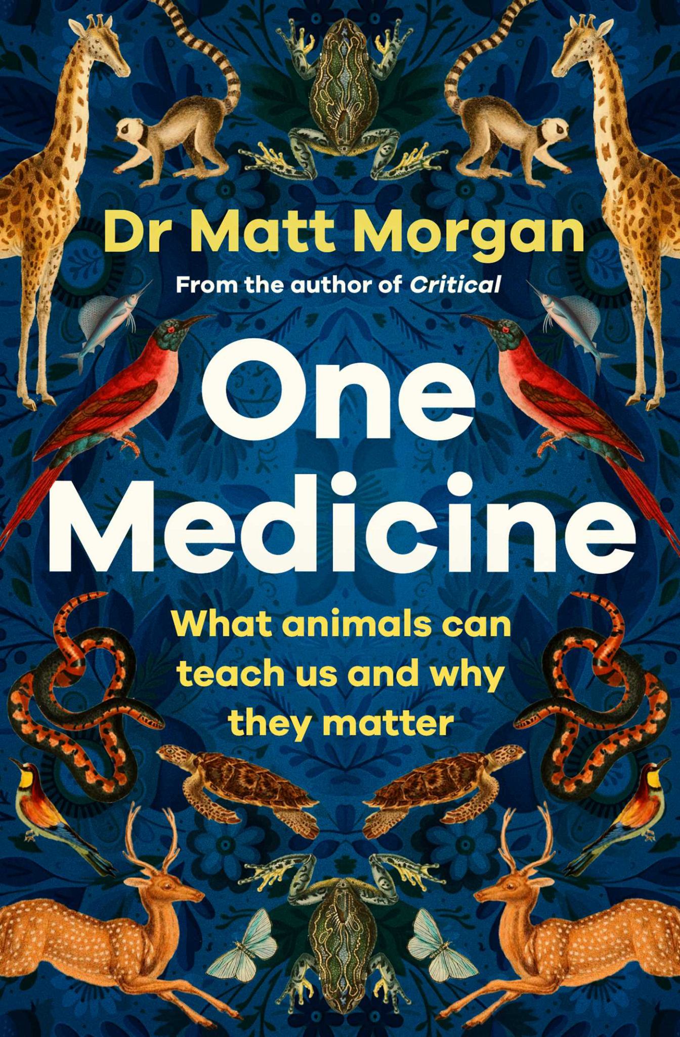 One Medicine Cover Image