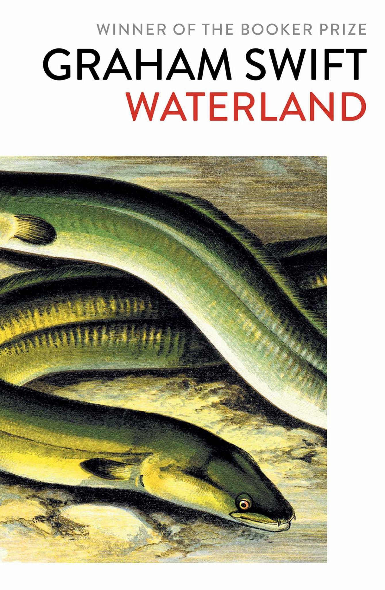 Waterland Cover Image