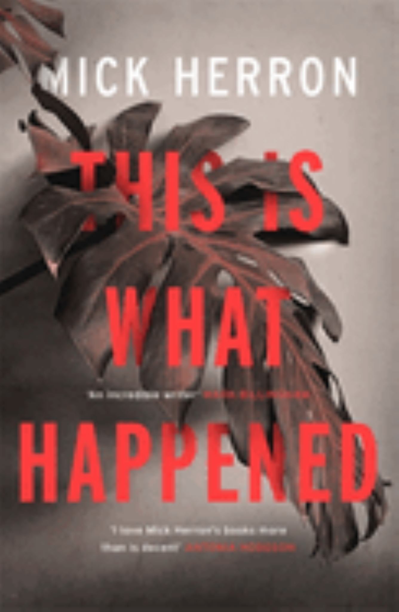 This Is What Happened Cover Image