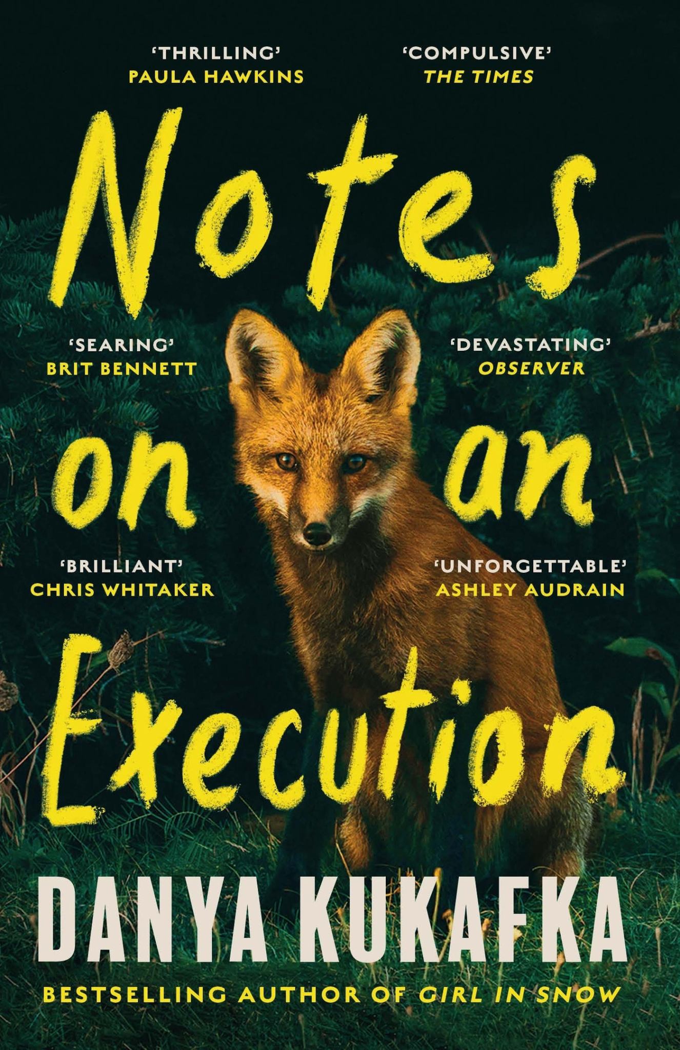 Notes on an Execution Cover Image