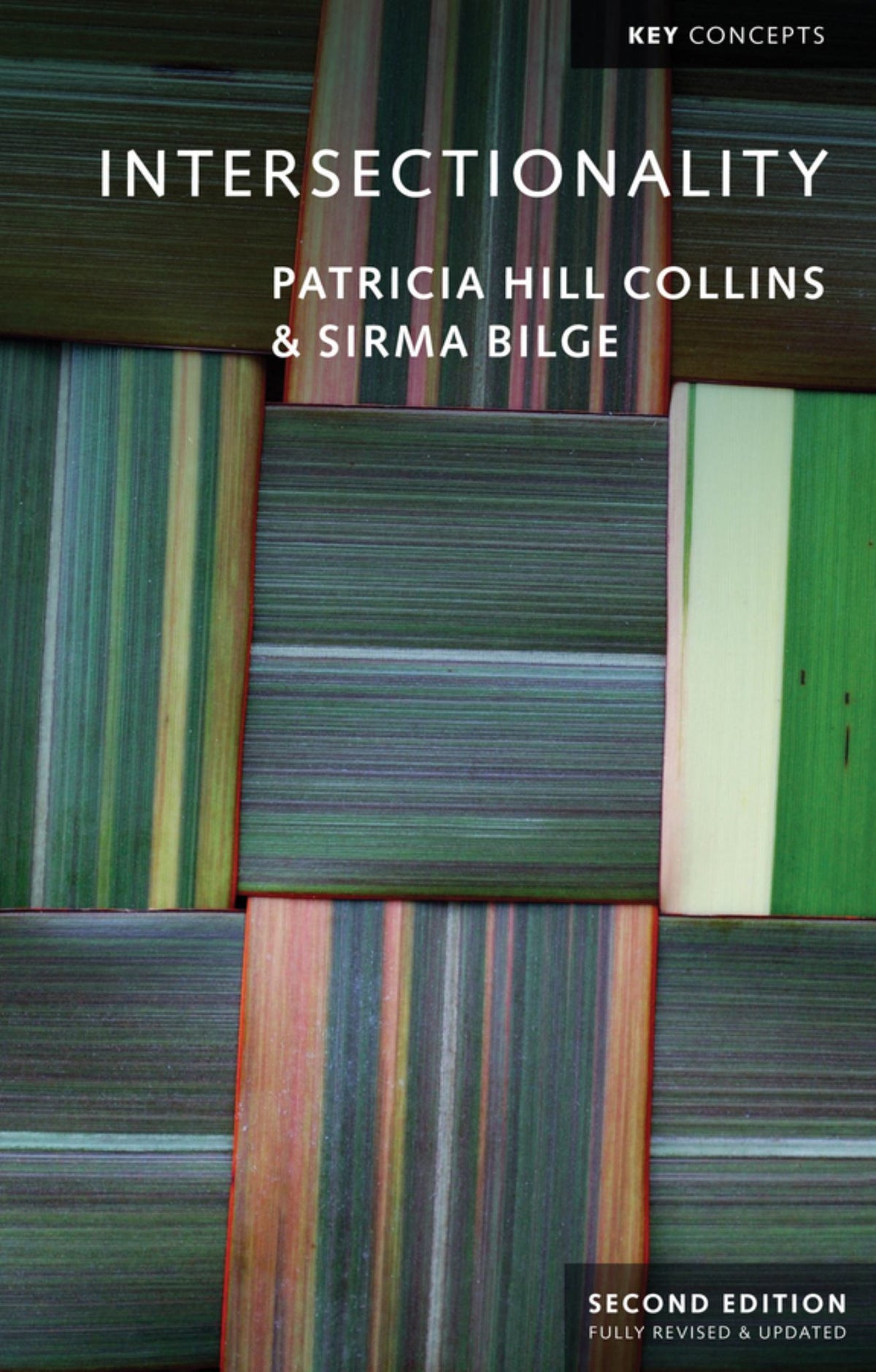 Intersectionality Cover Image