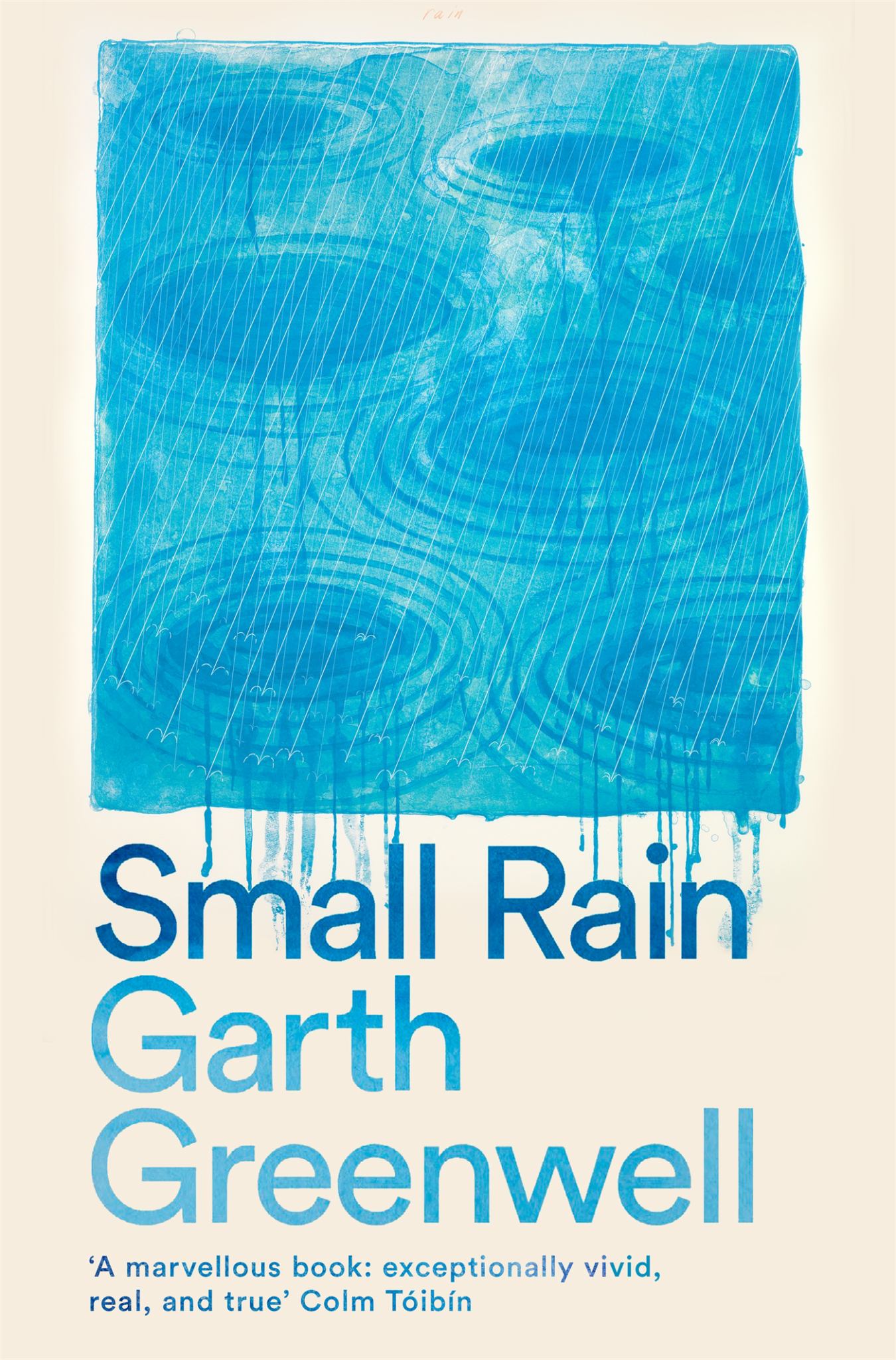 Small Rain Cover Image
