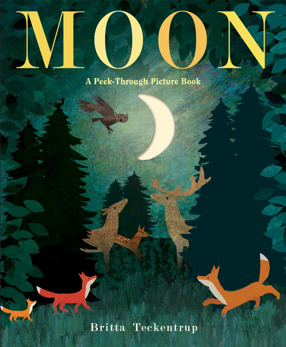 Moon: a Peek-Through Picture Book Cover Image