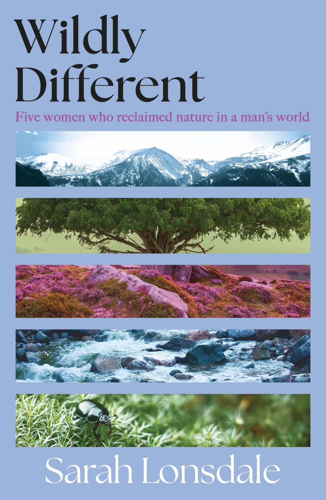 Wildly Different Cover Image