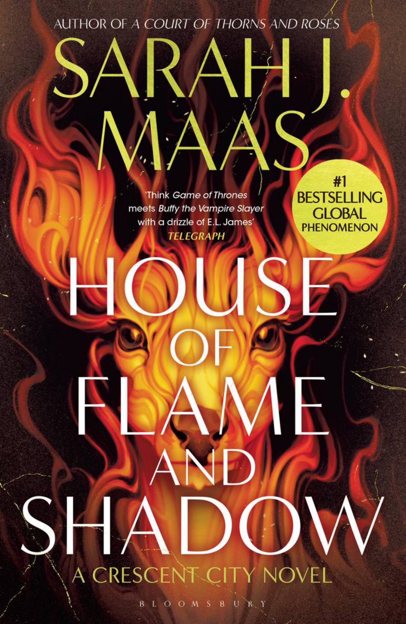 House of Flame and Shadow Cover Image