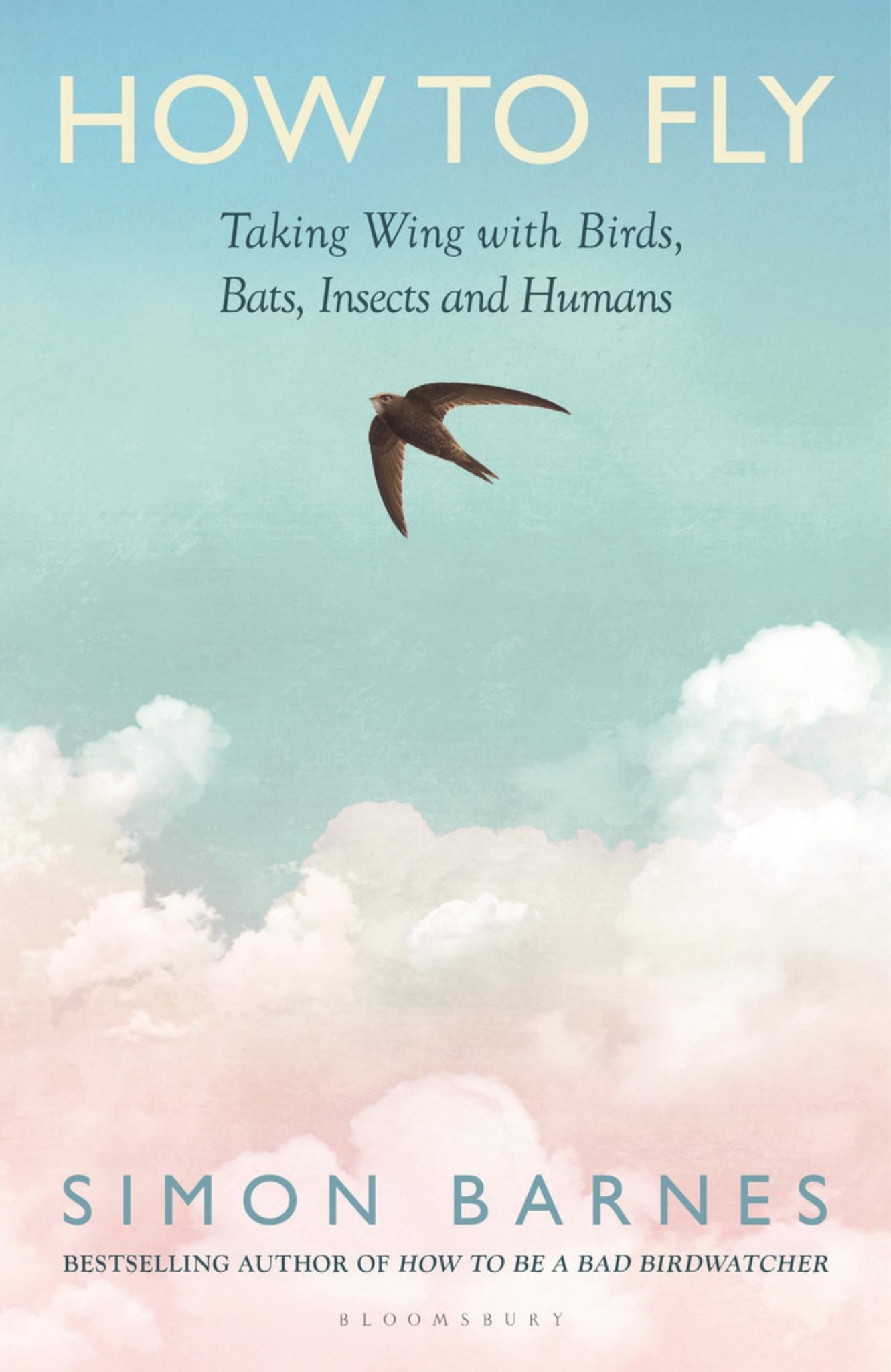 How to Fly Cover Image