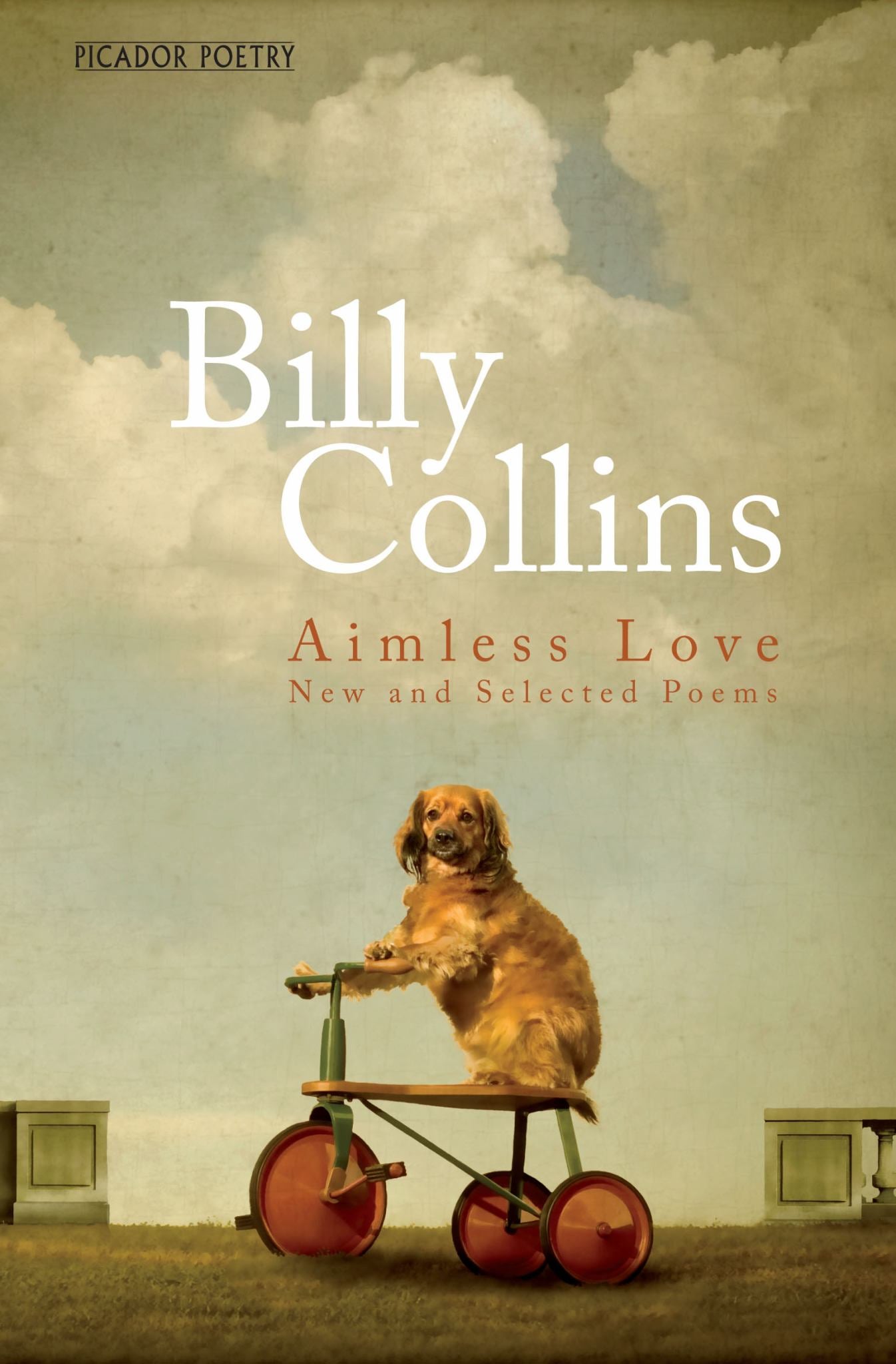 Aimless Love Cover Image