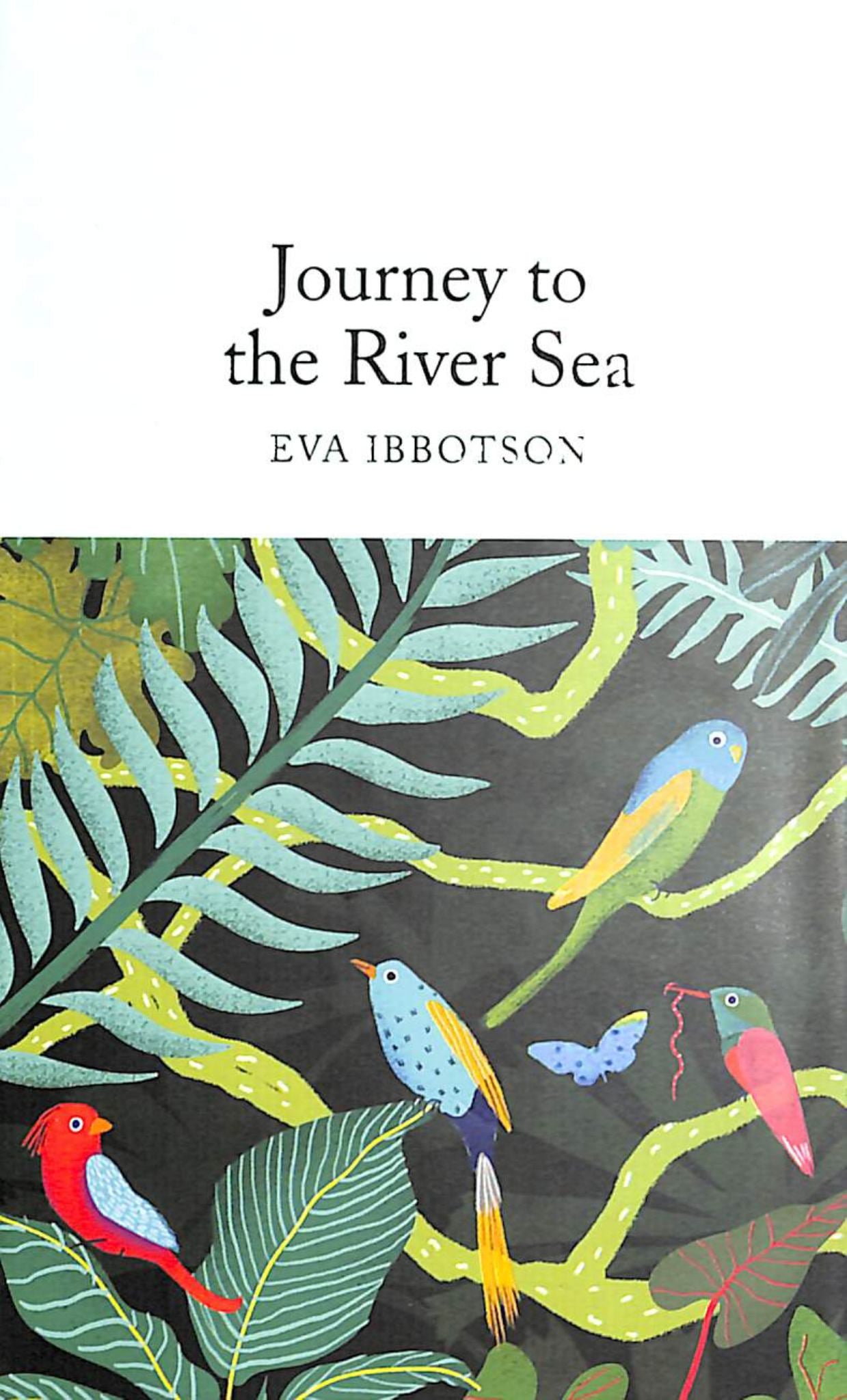 Journey to the River Sea Cover Image